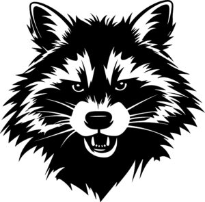 Angry Raccoon