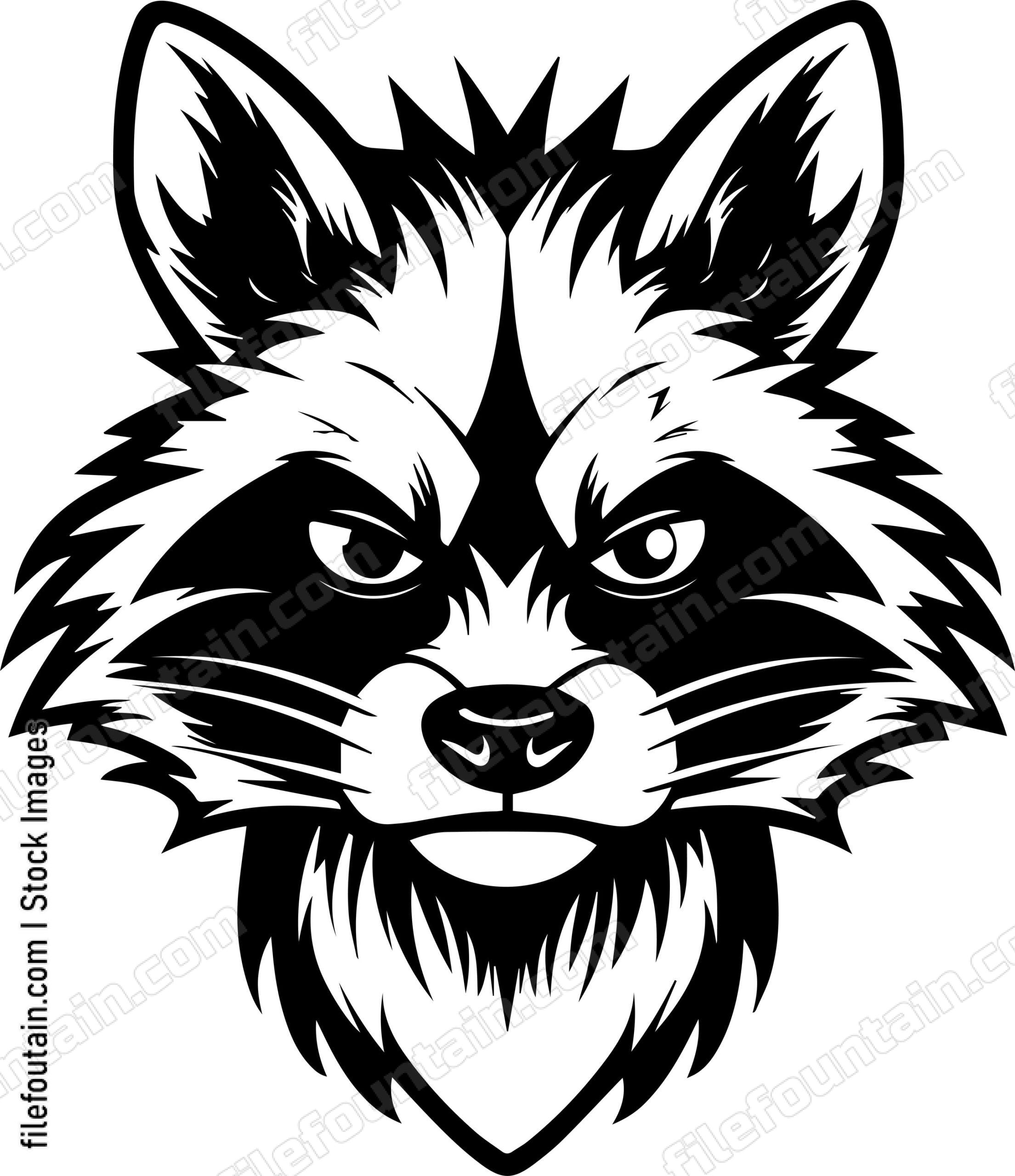 Angry Raccoon