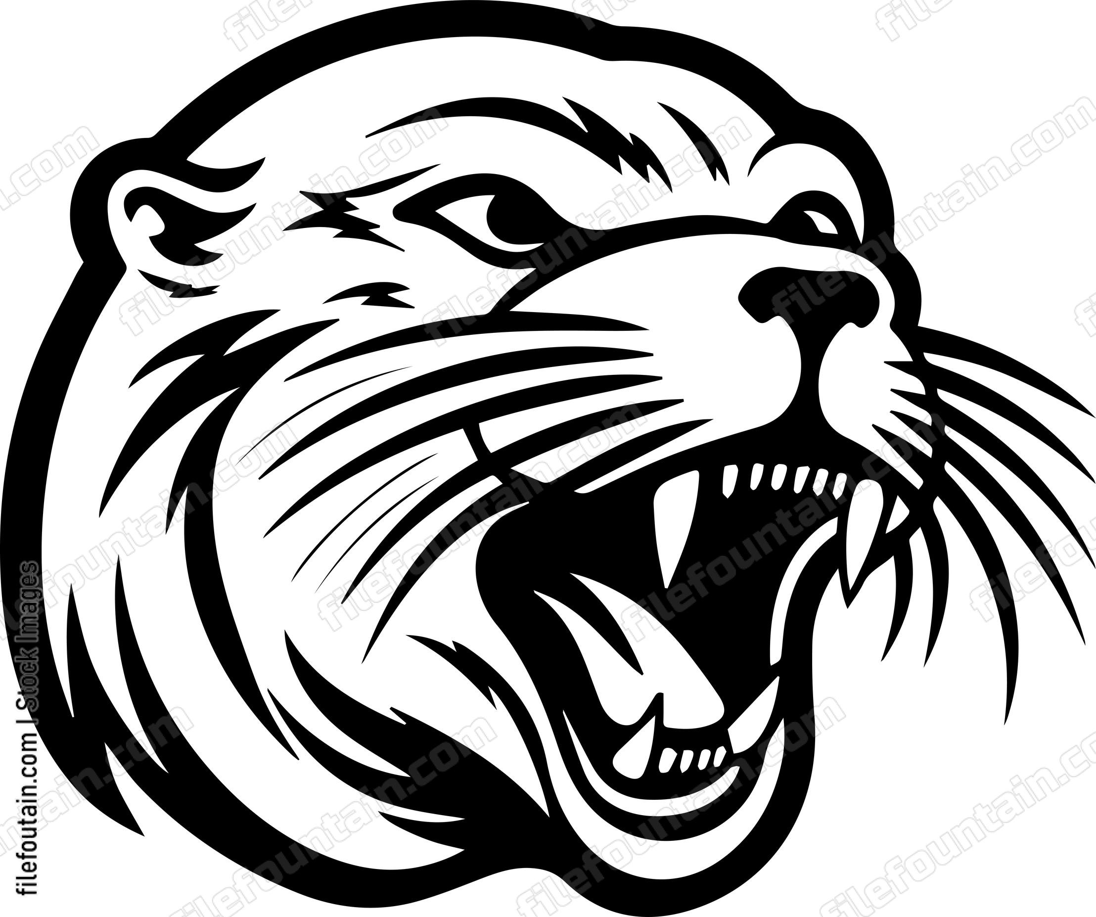 Angry Seal