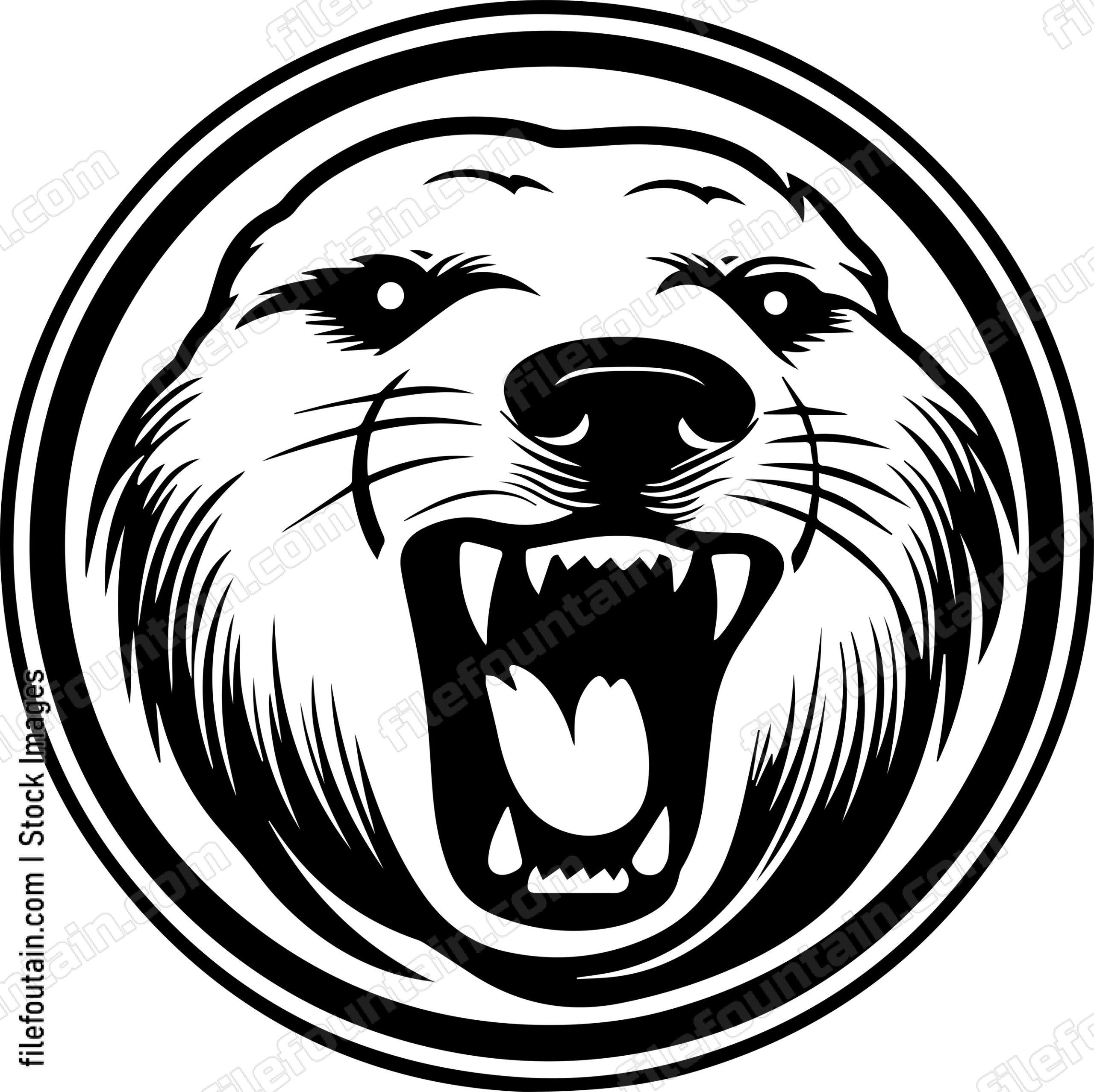 Angry Seal