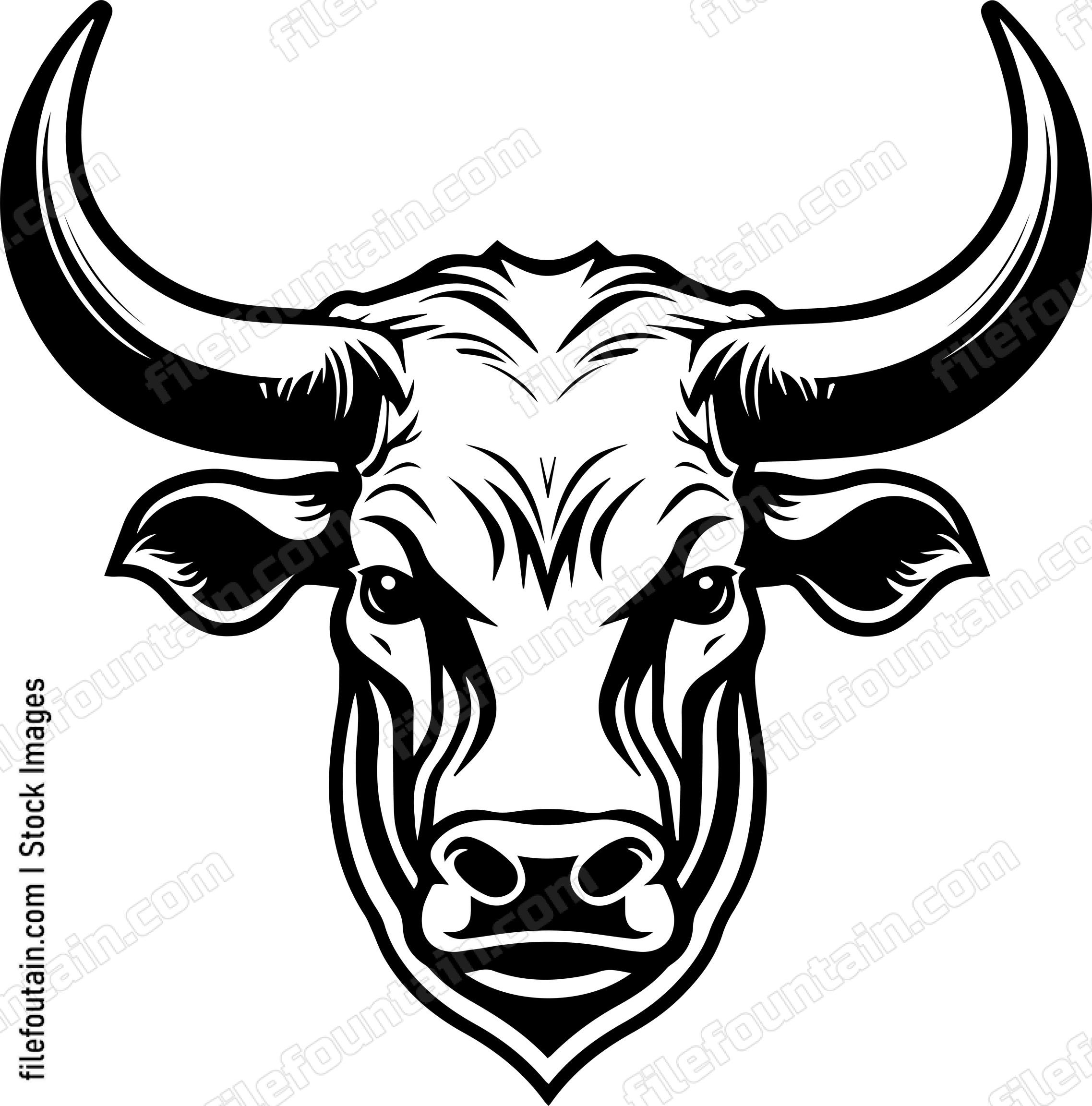 Angry Texas Longhorn