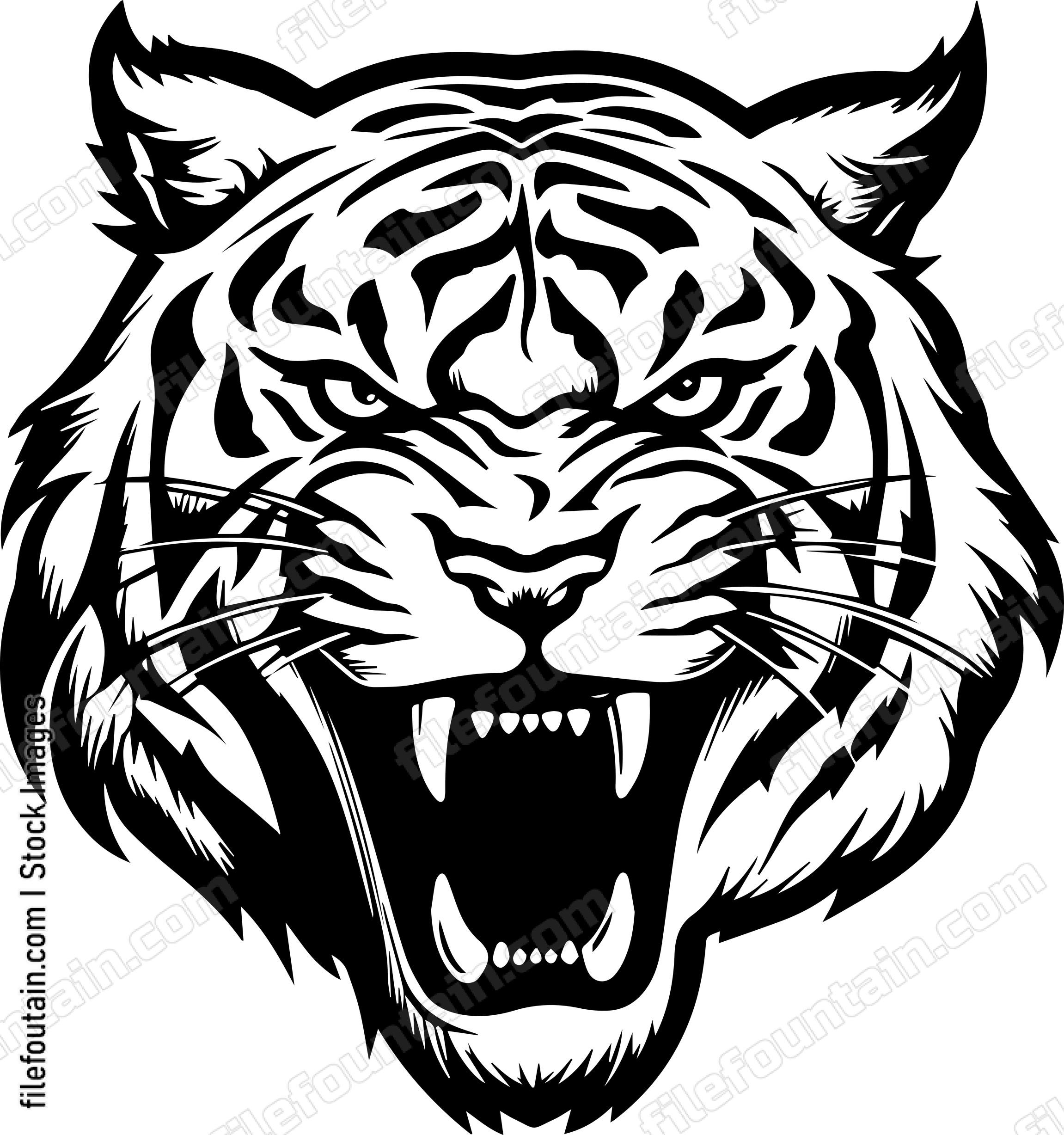 Angry Tiger