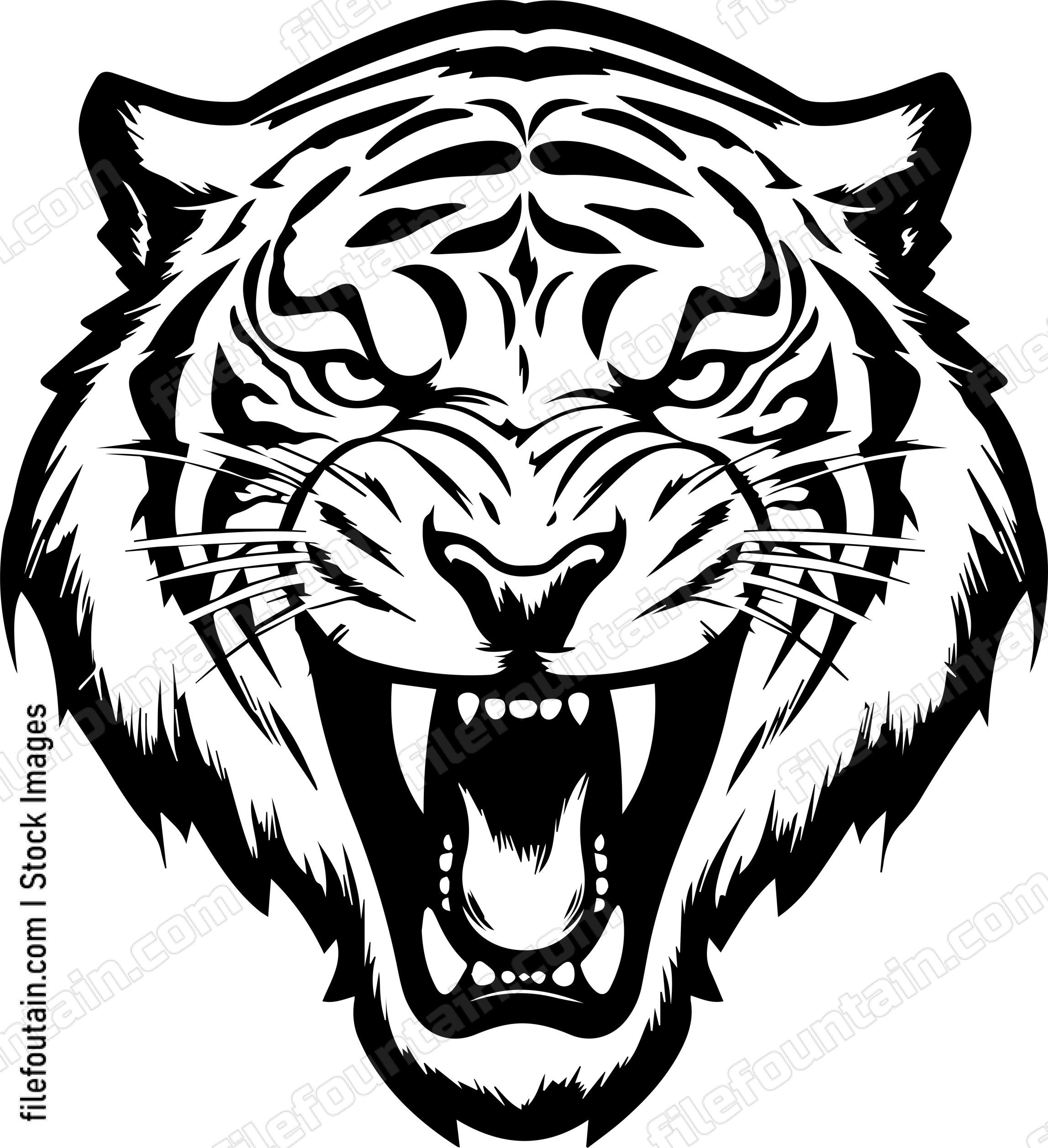 Angry Tiger