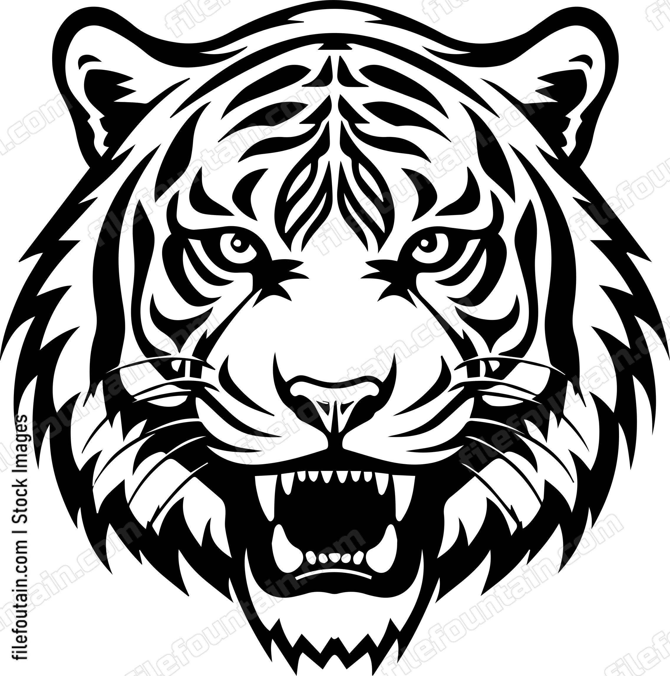 Angry Tiger