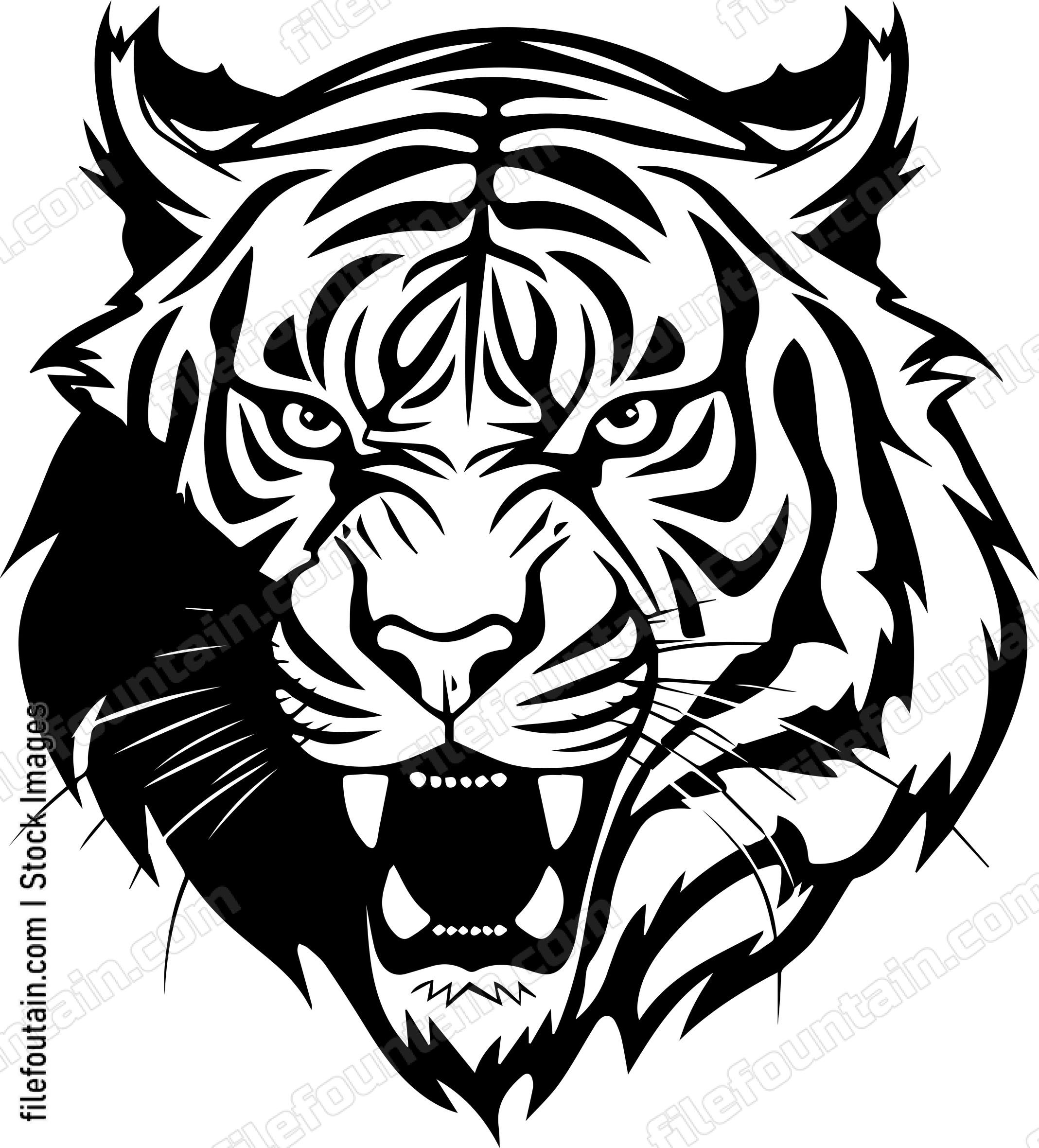 Angry Tiger