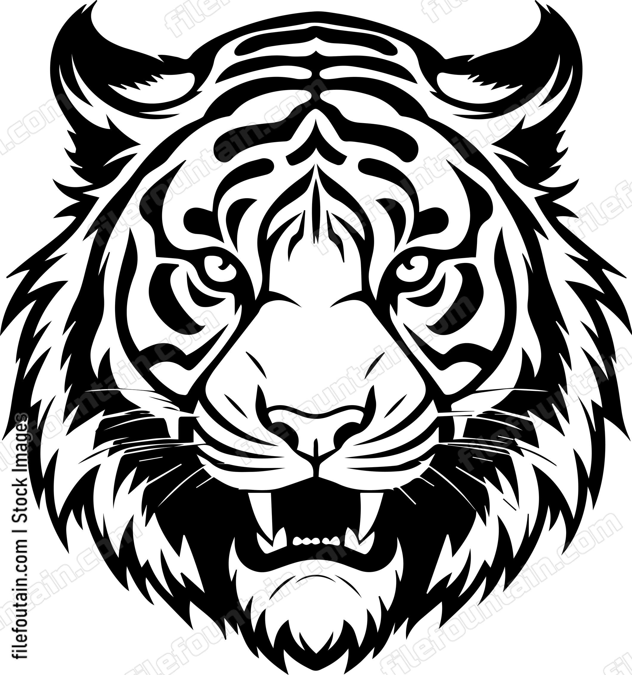 Angry Tiger