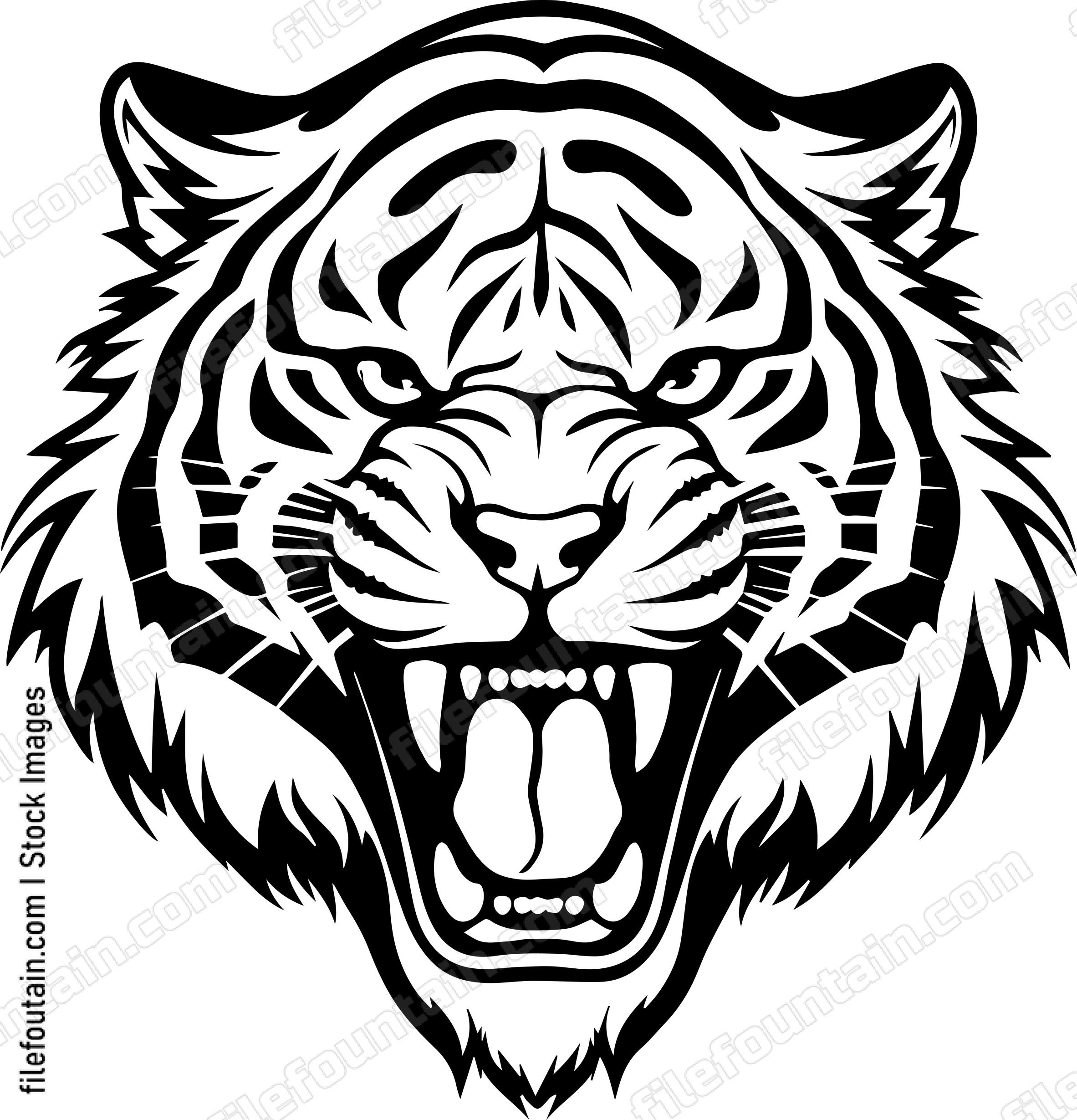 Angry Tiger Hissing