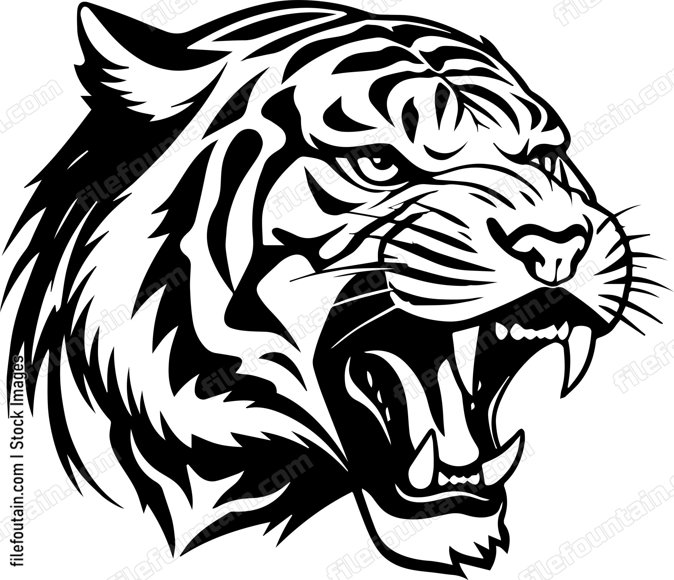 Angry Tiger Hissing