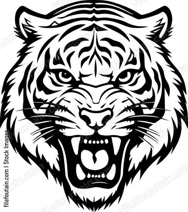 Angry Tiger Hissing