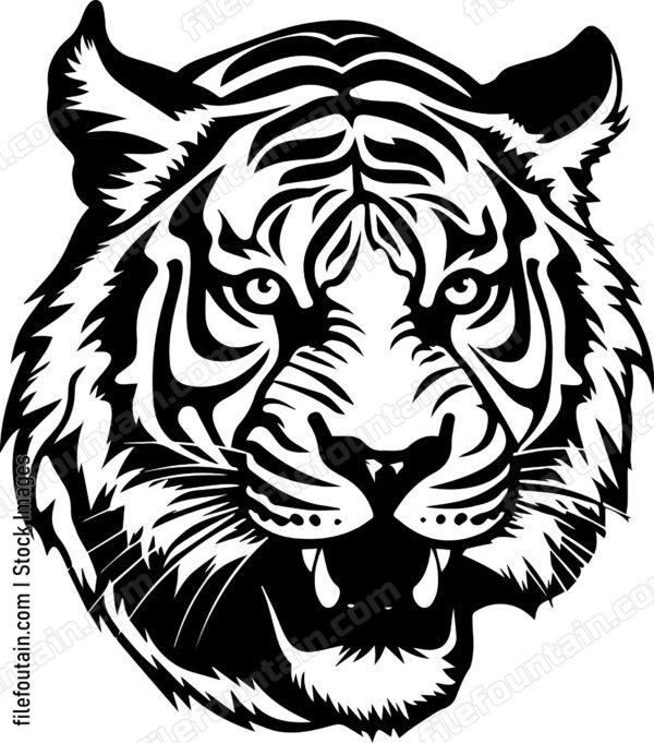 Angry Tiger
