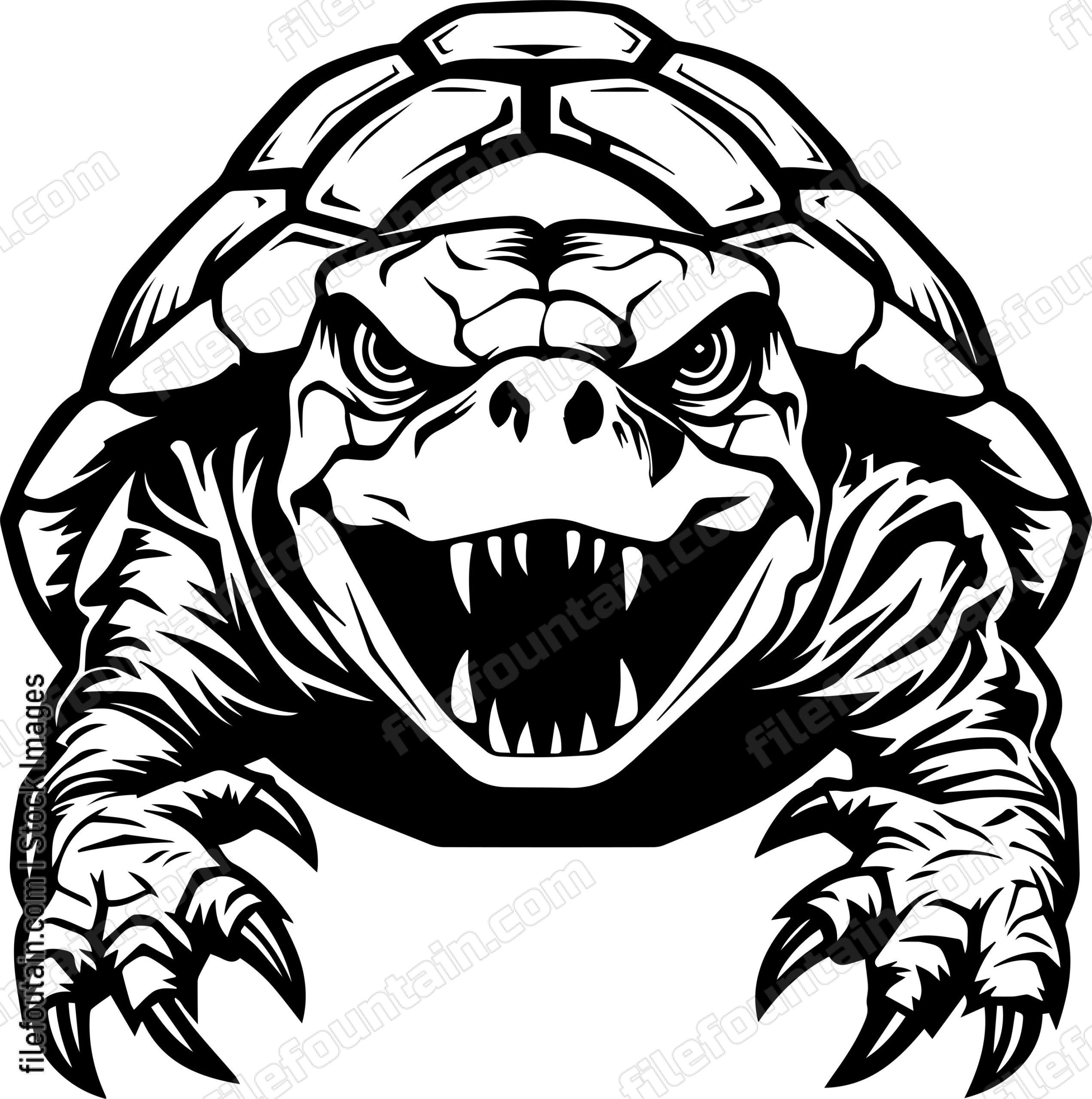 Angry Turtle