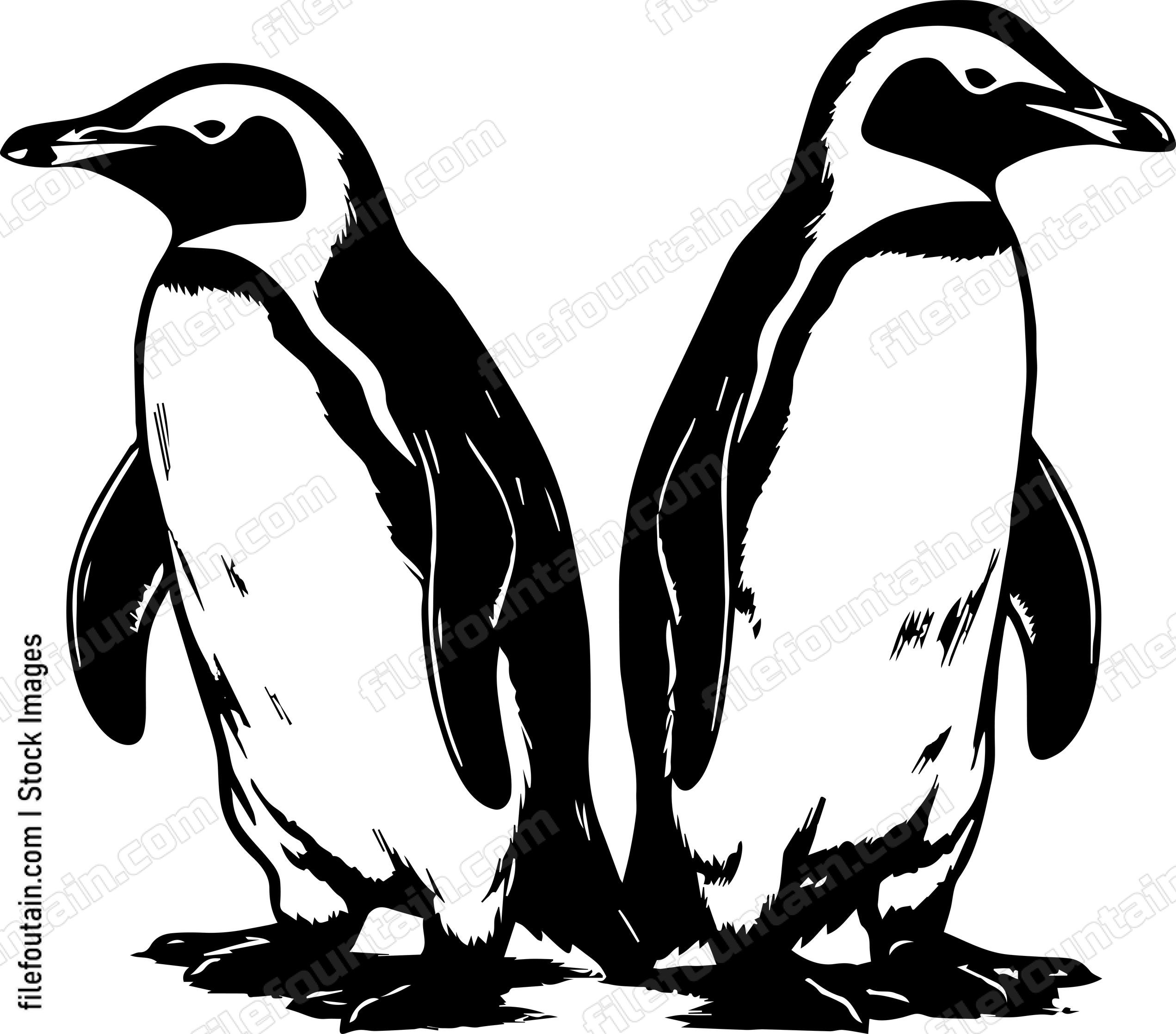 Antarctica Penguins