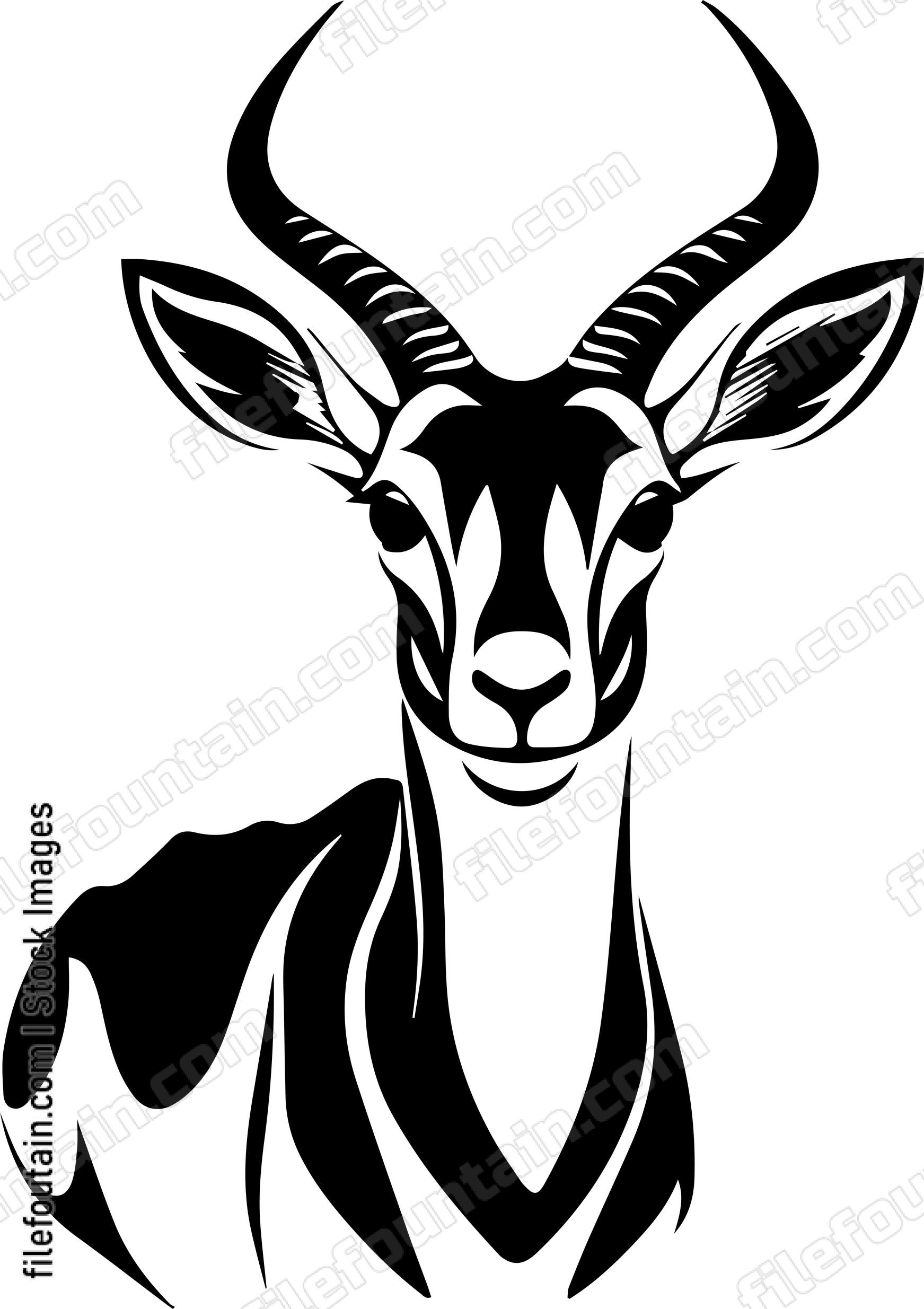 Antelope