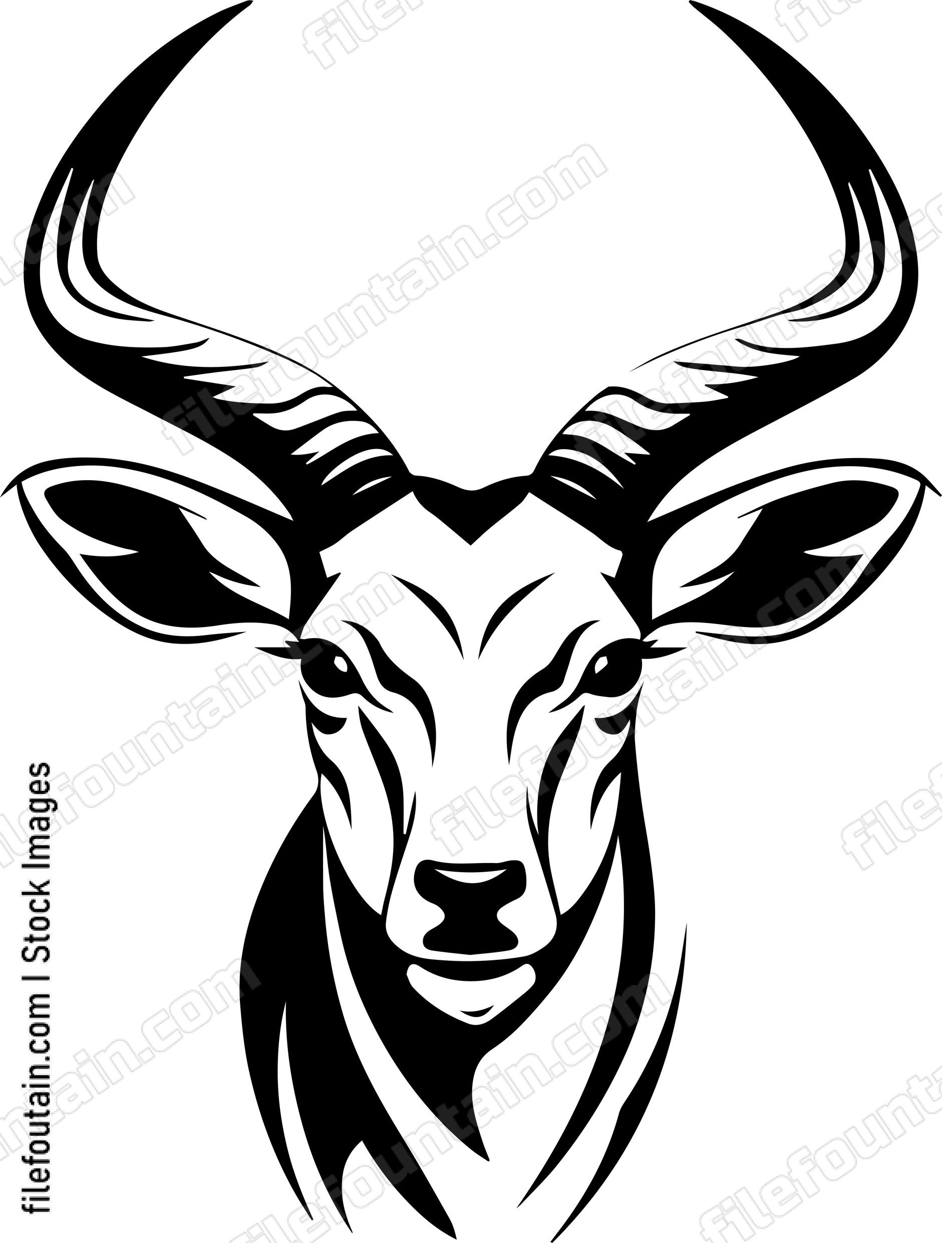 Antelope