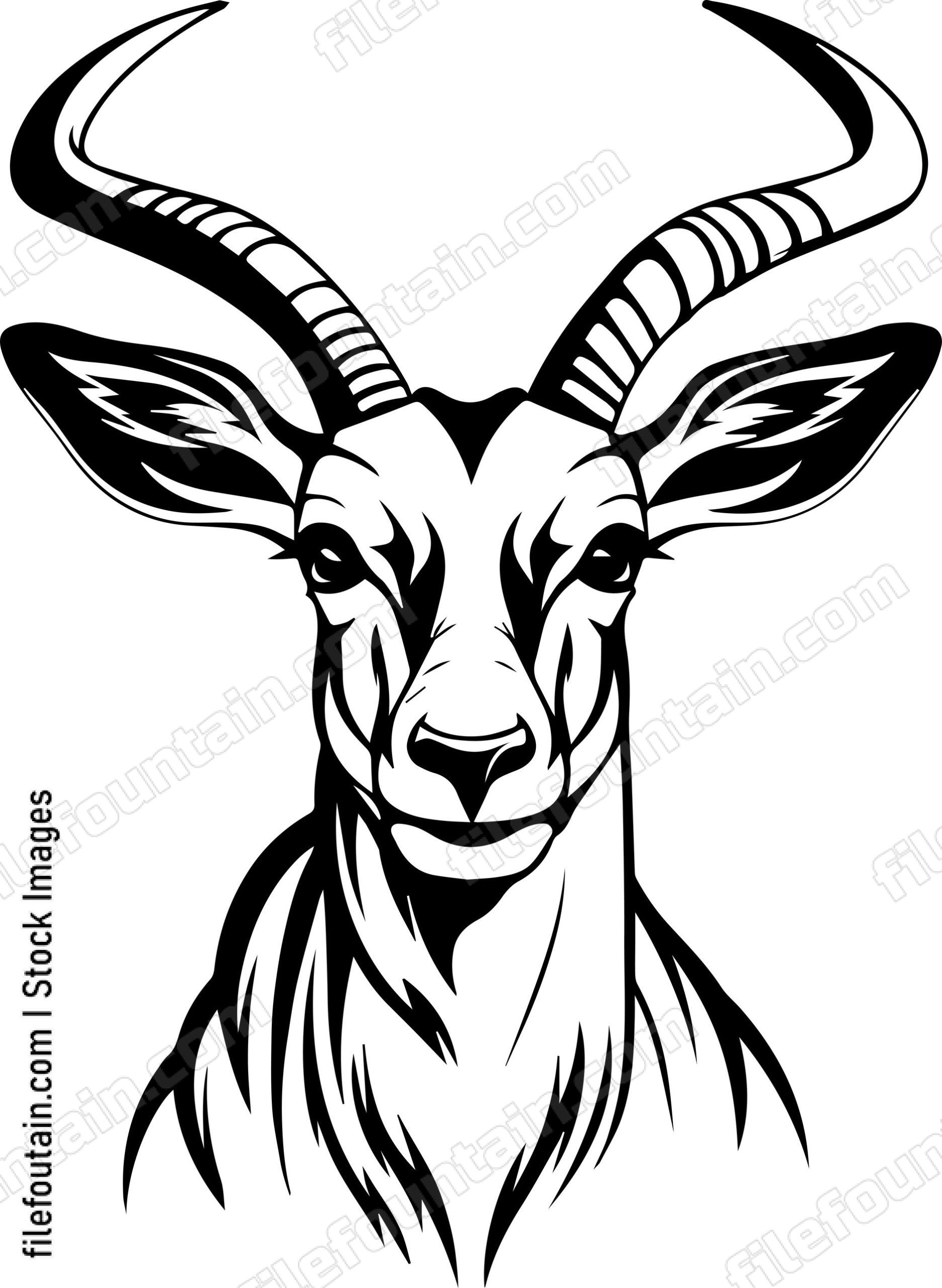 Antelope