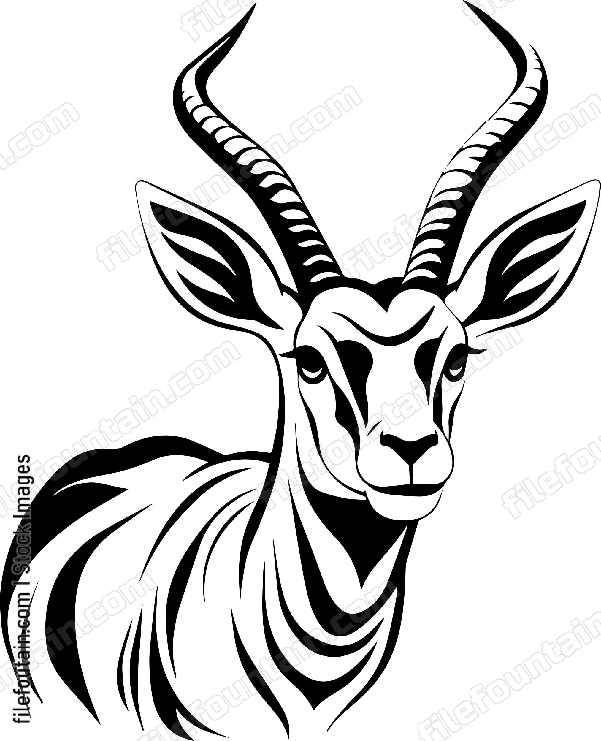 Antelope