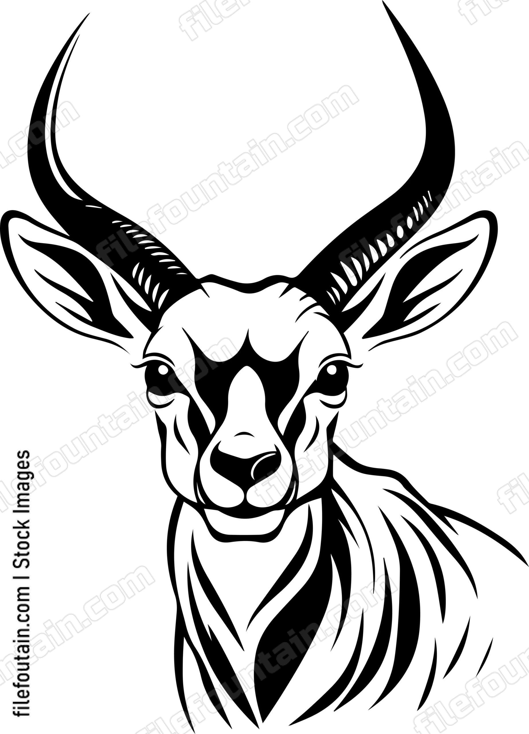 Antelope