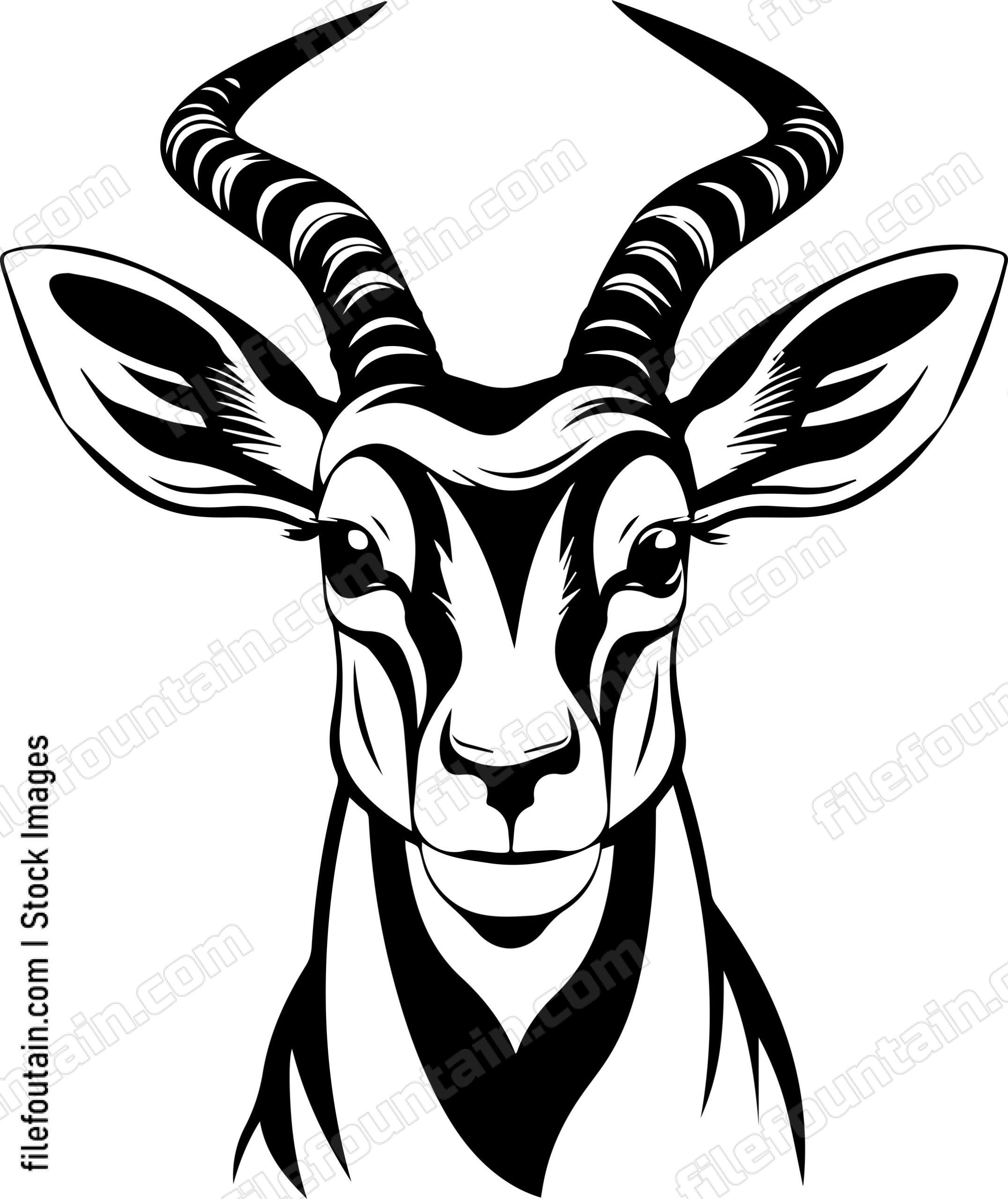 Antelope