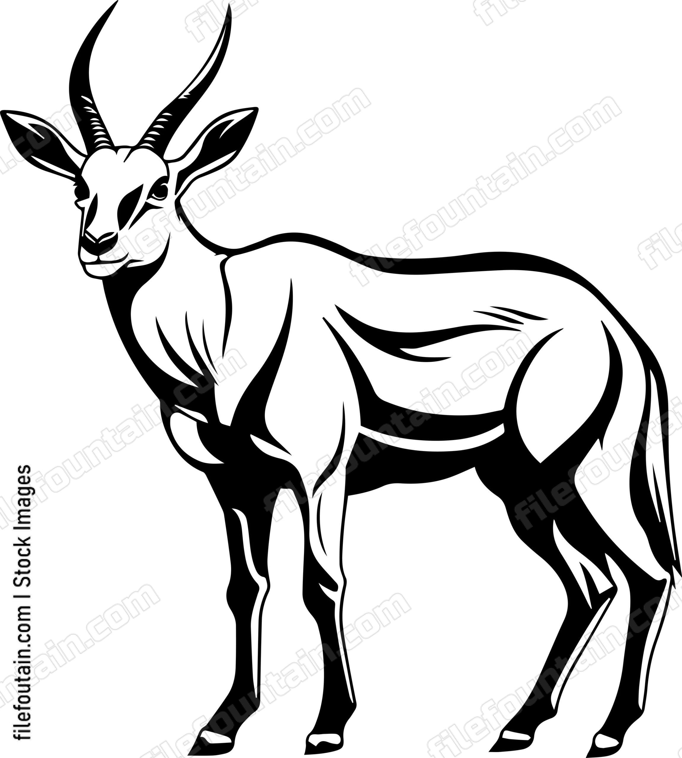 Antelope