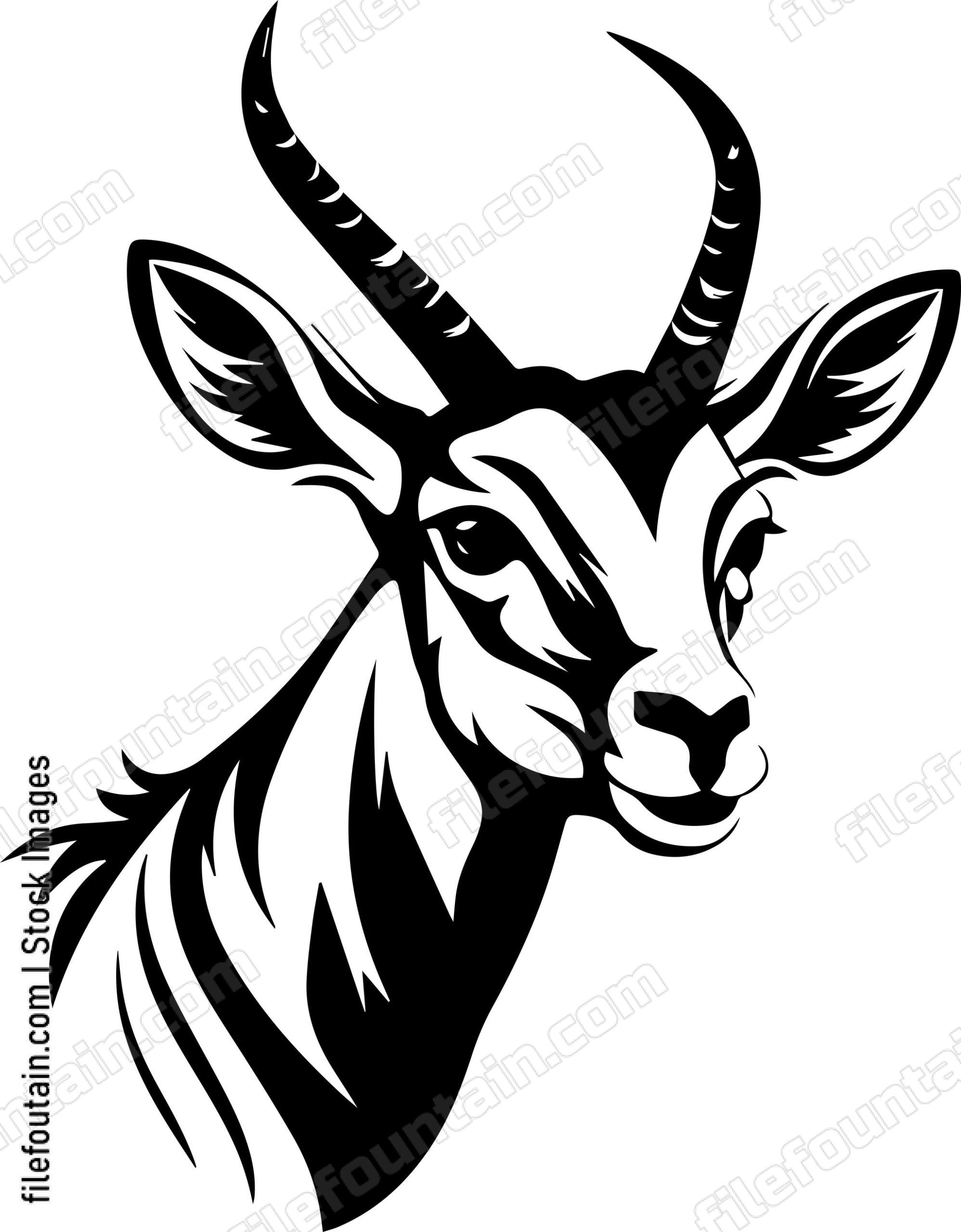Antelope