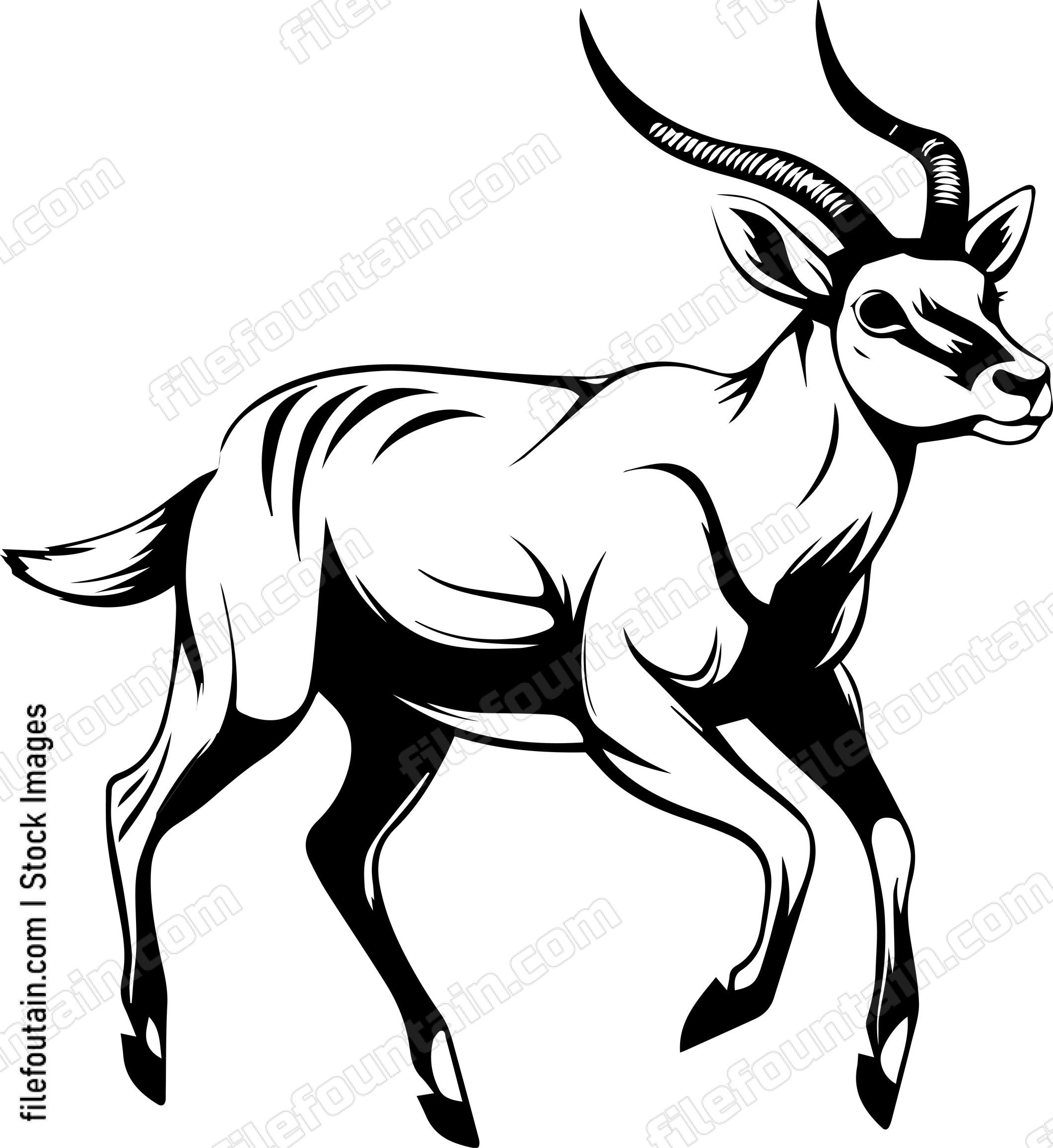 Antelope Running