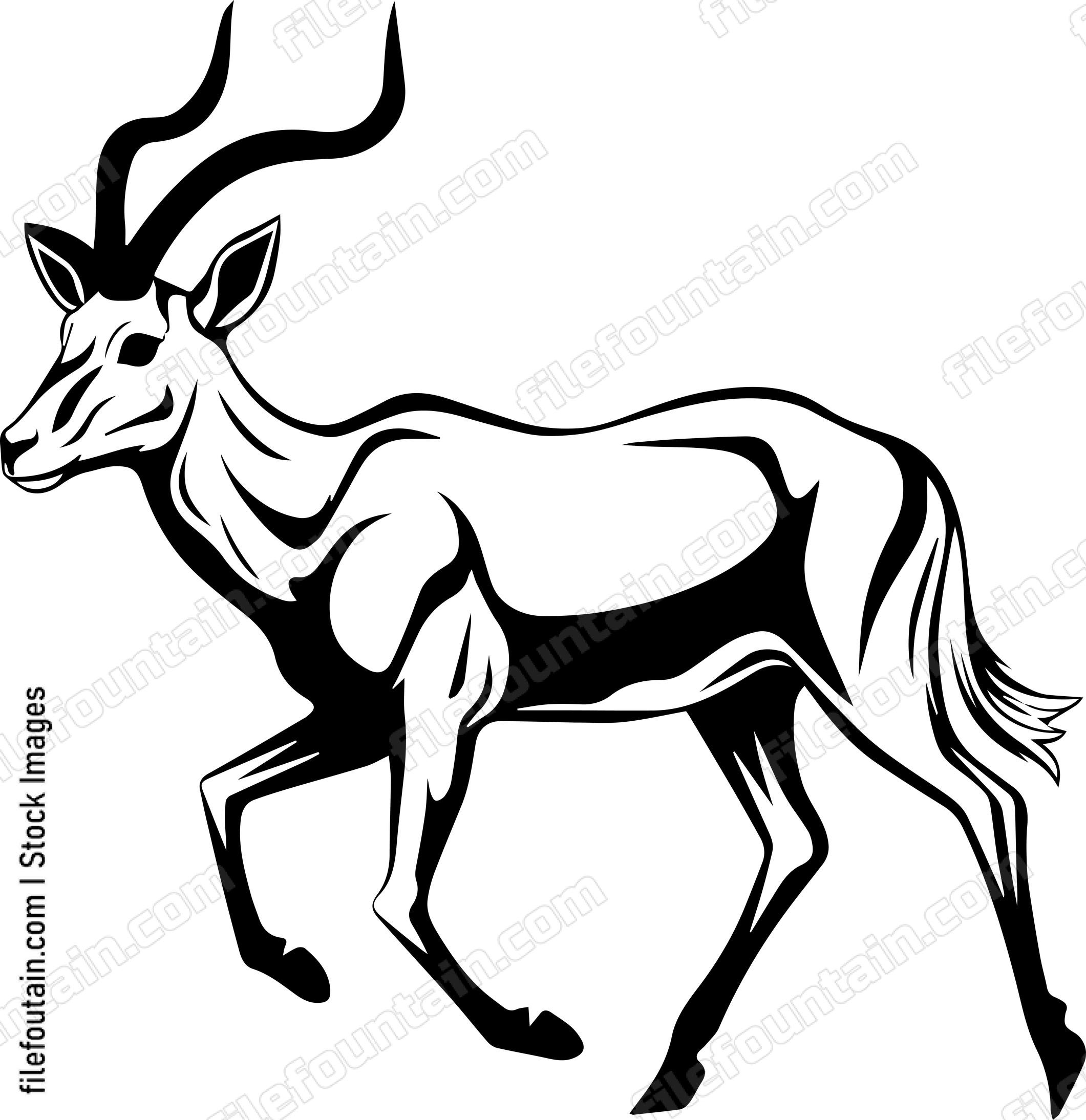 Antelope Running
