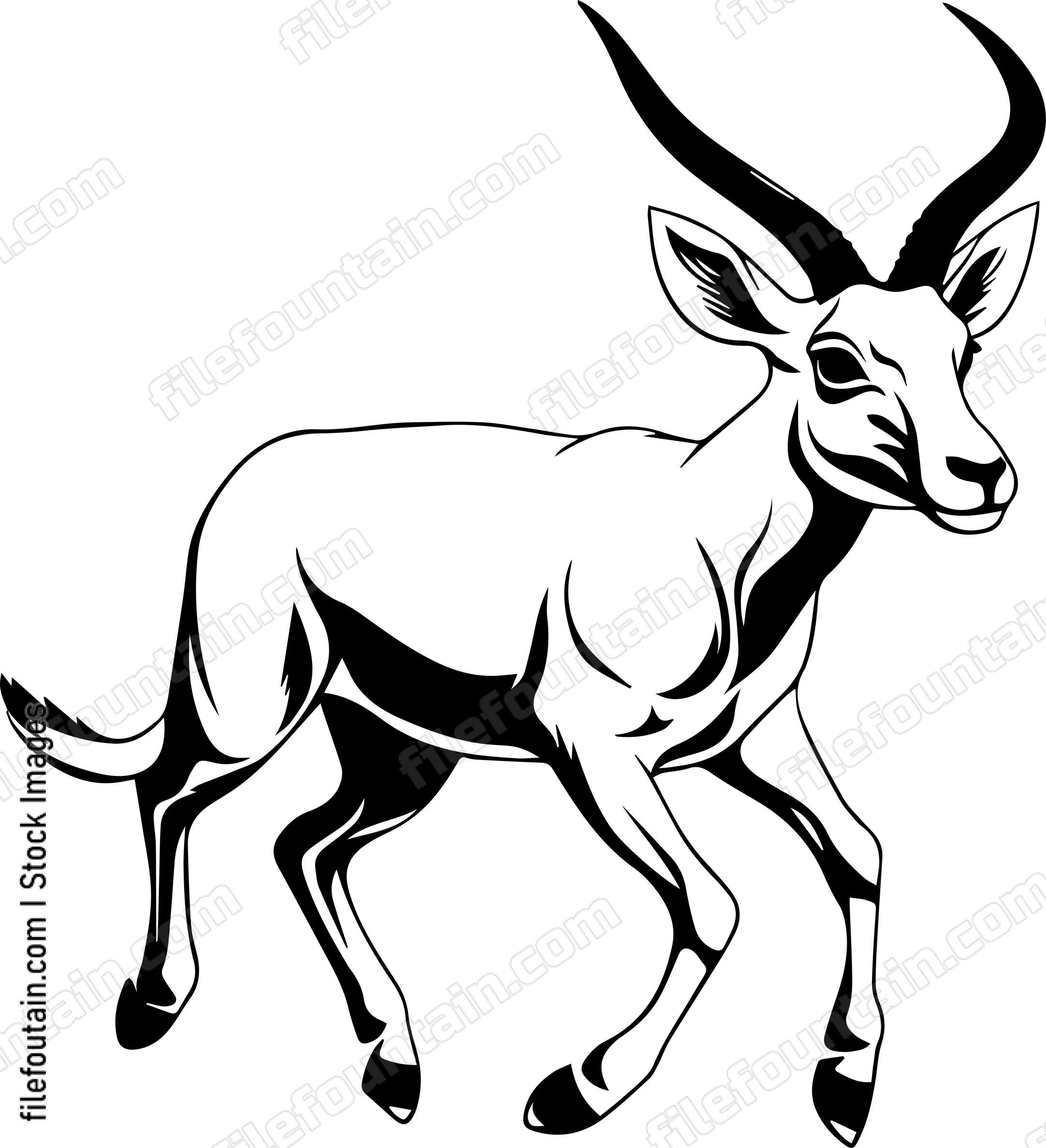 Antelope Running