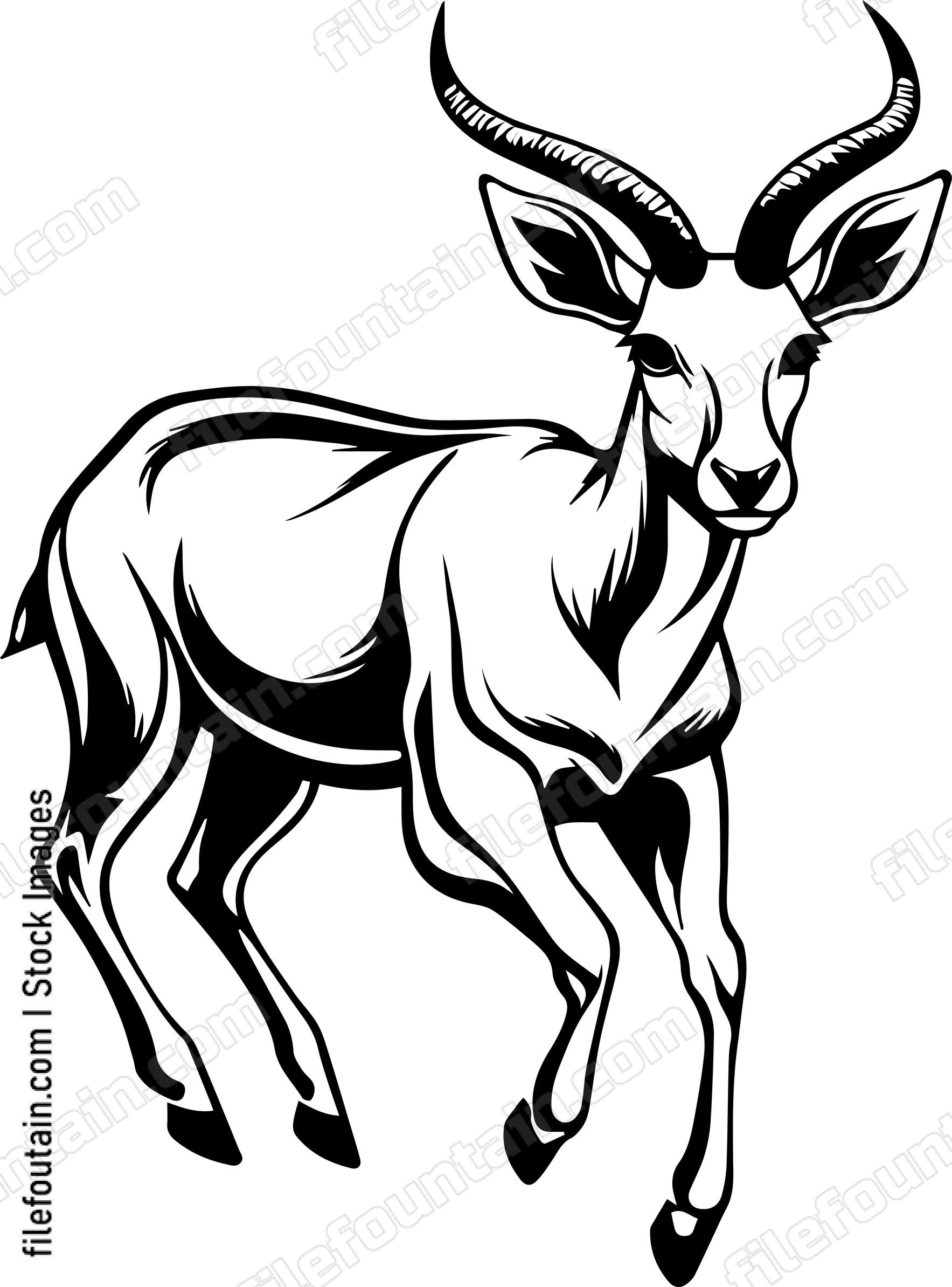 Antelope Running
