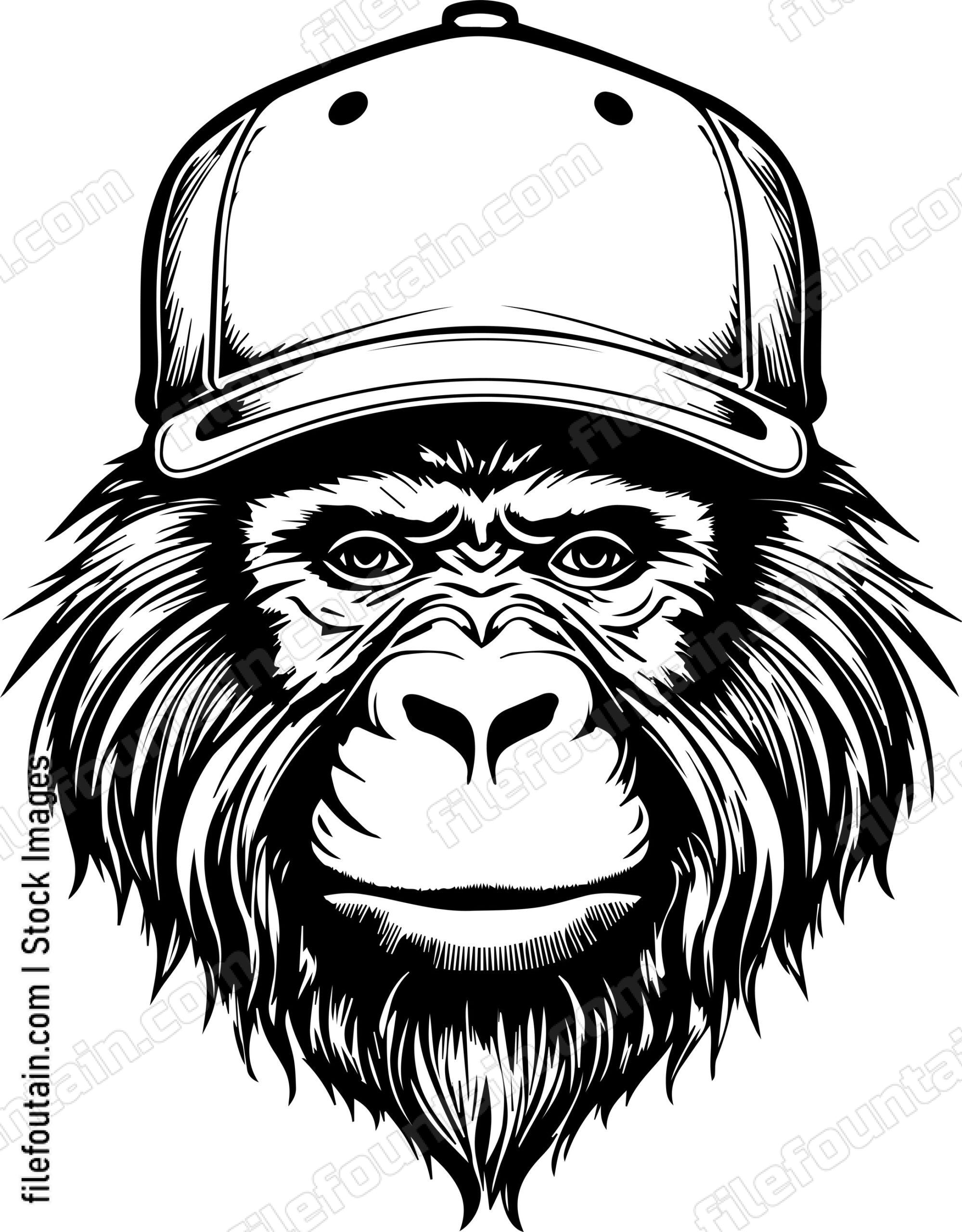 Ape In Baseball Cap