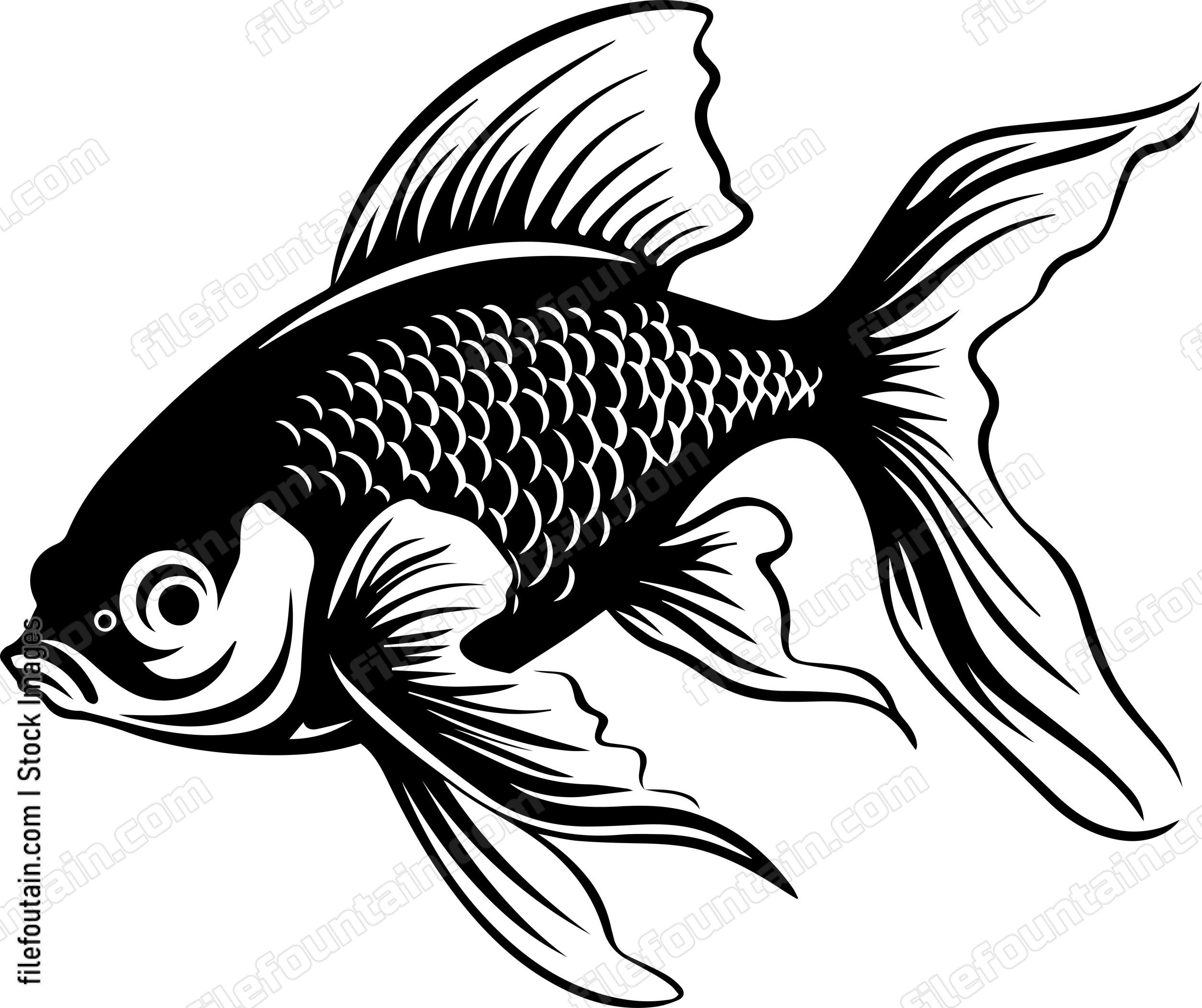 Aquarium Fish