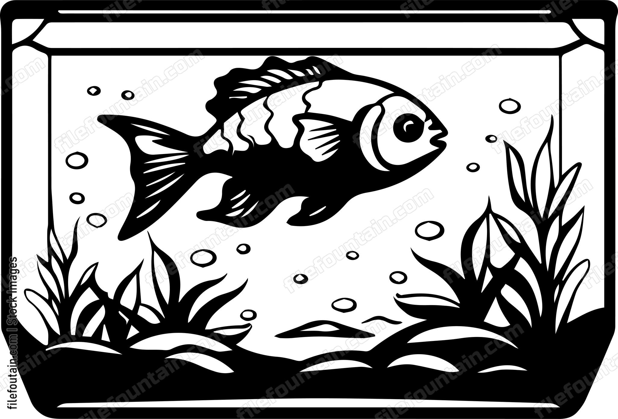 Aquarium Fish