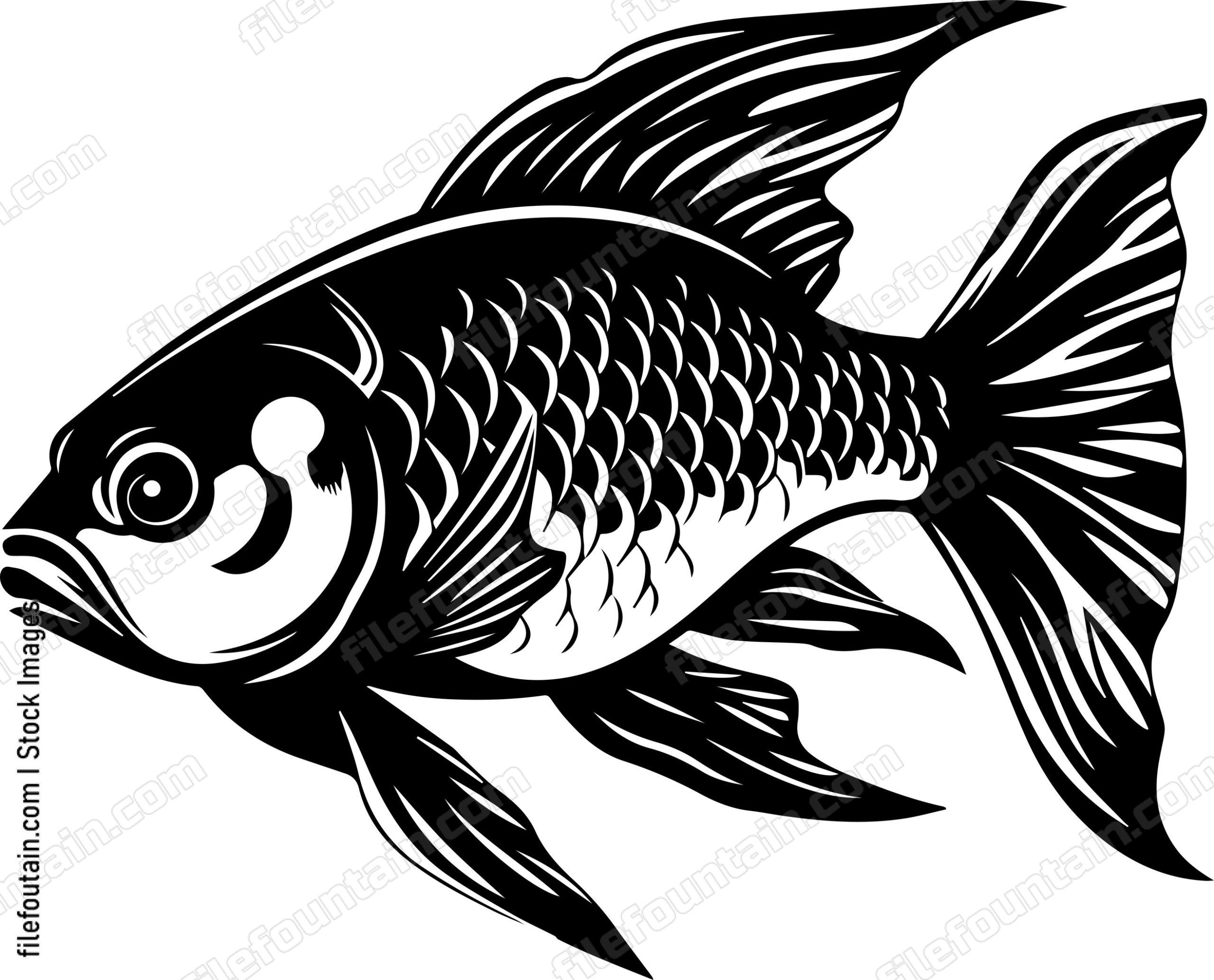 Aquarium Fish