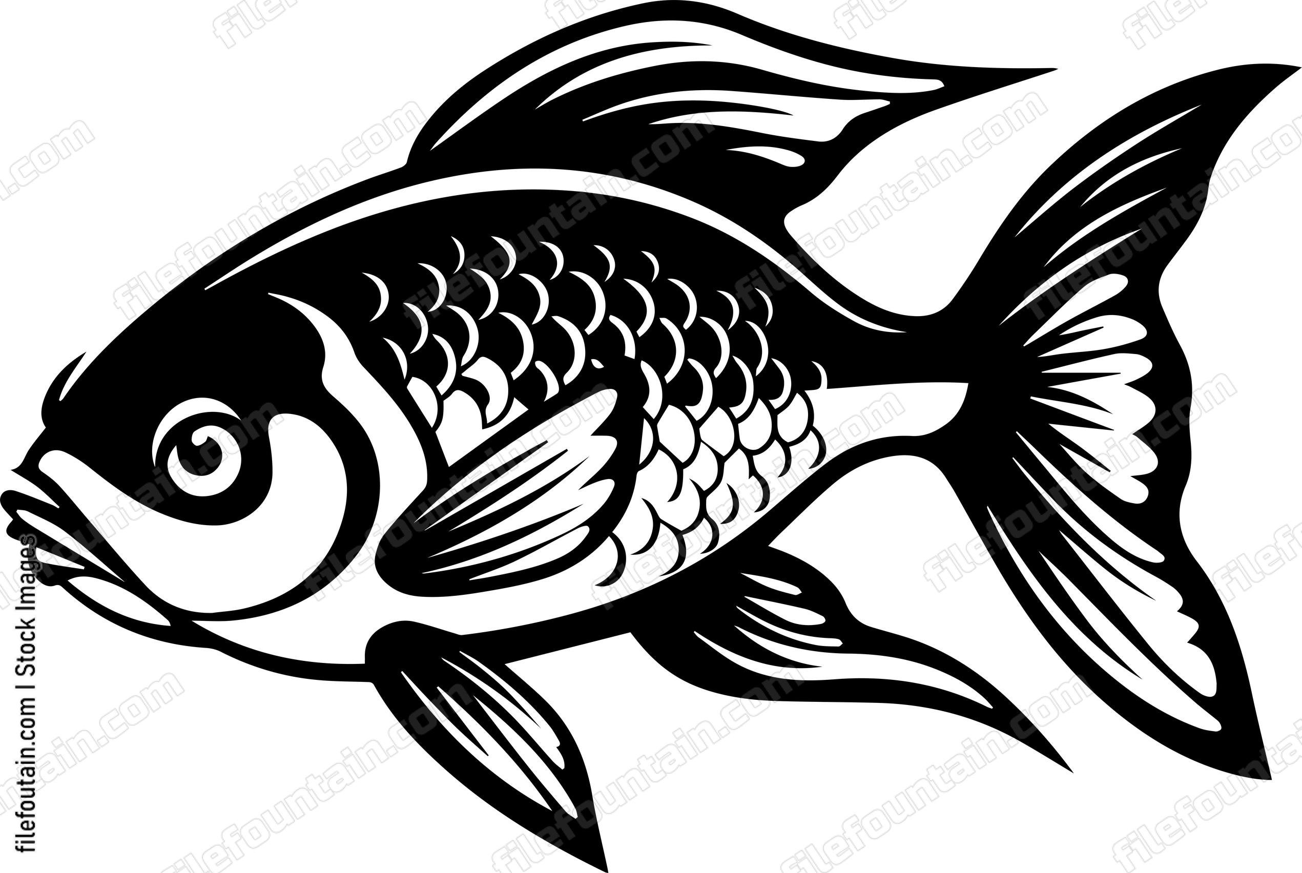 Aquarium Fish