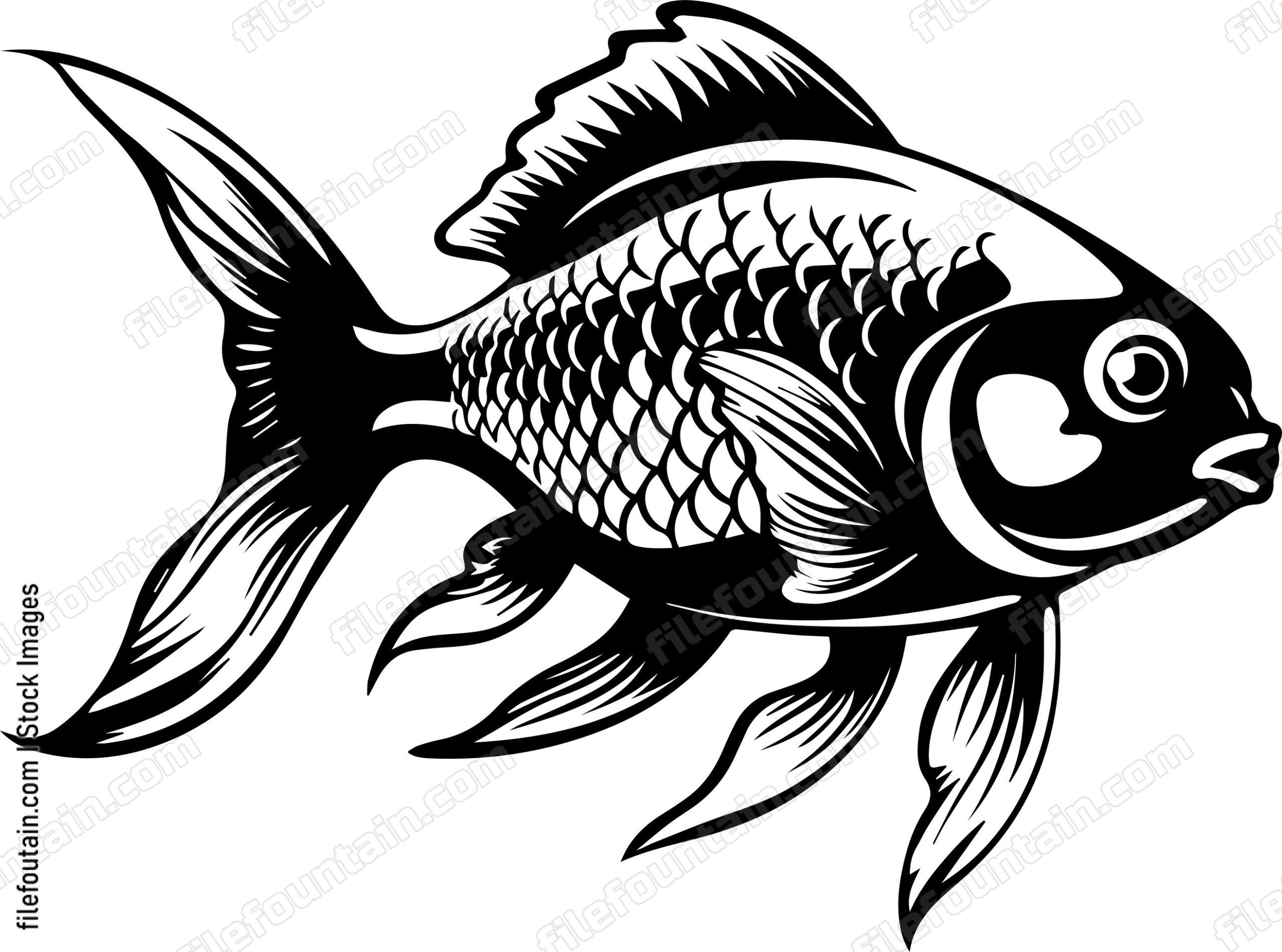Aquarium Fish