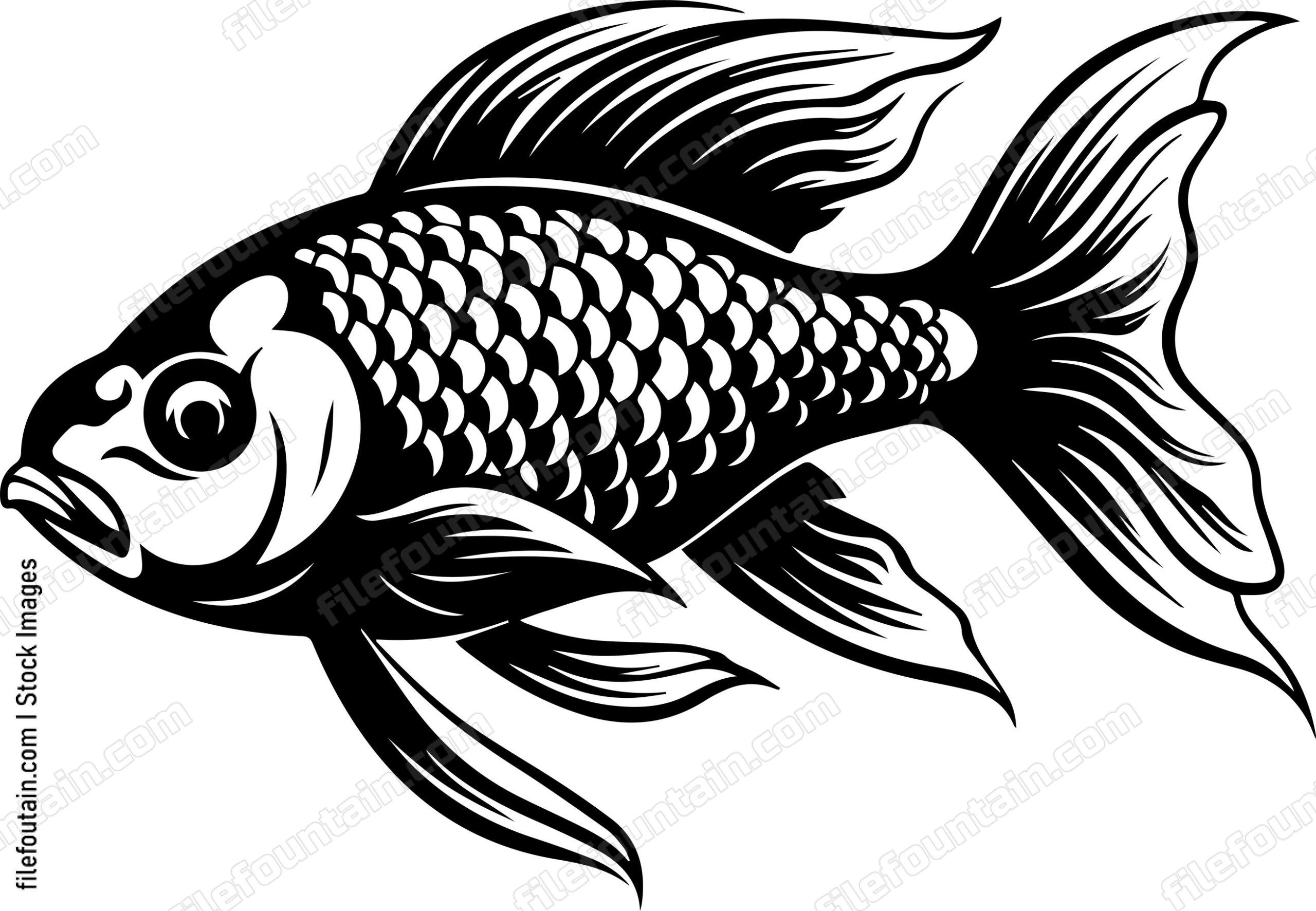 Aquarium Fish