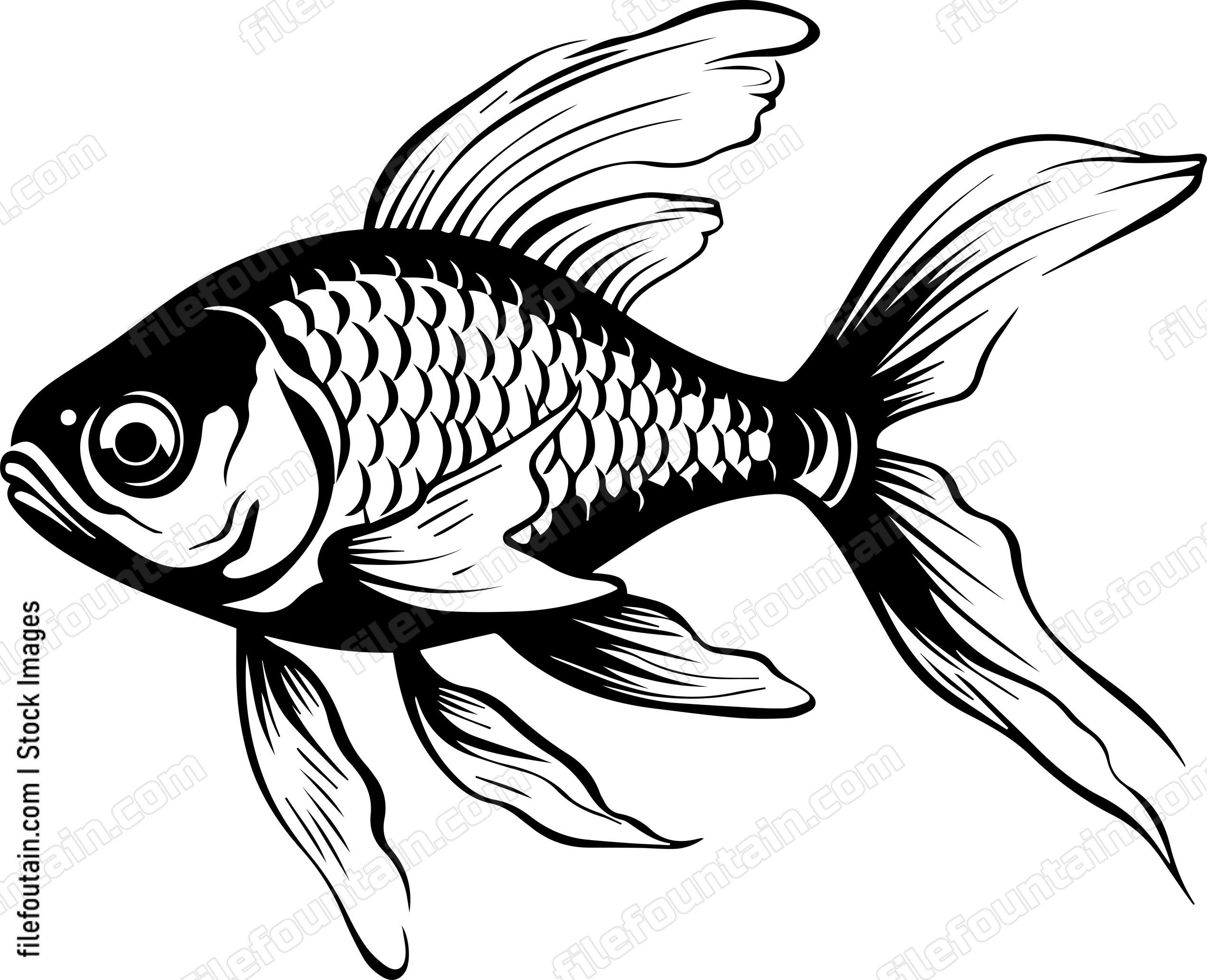 Aquarium Fish
