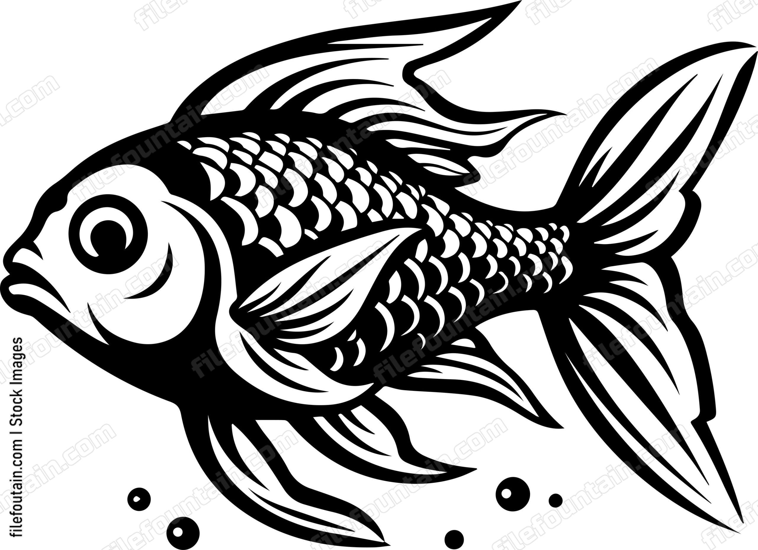 Aquarium Fish
