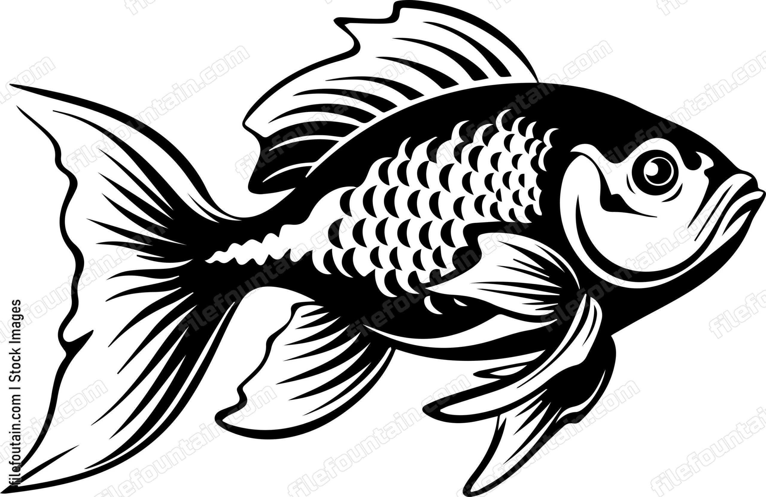 Aquarium Fish