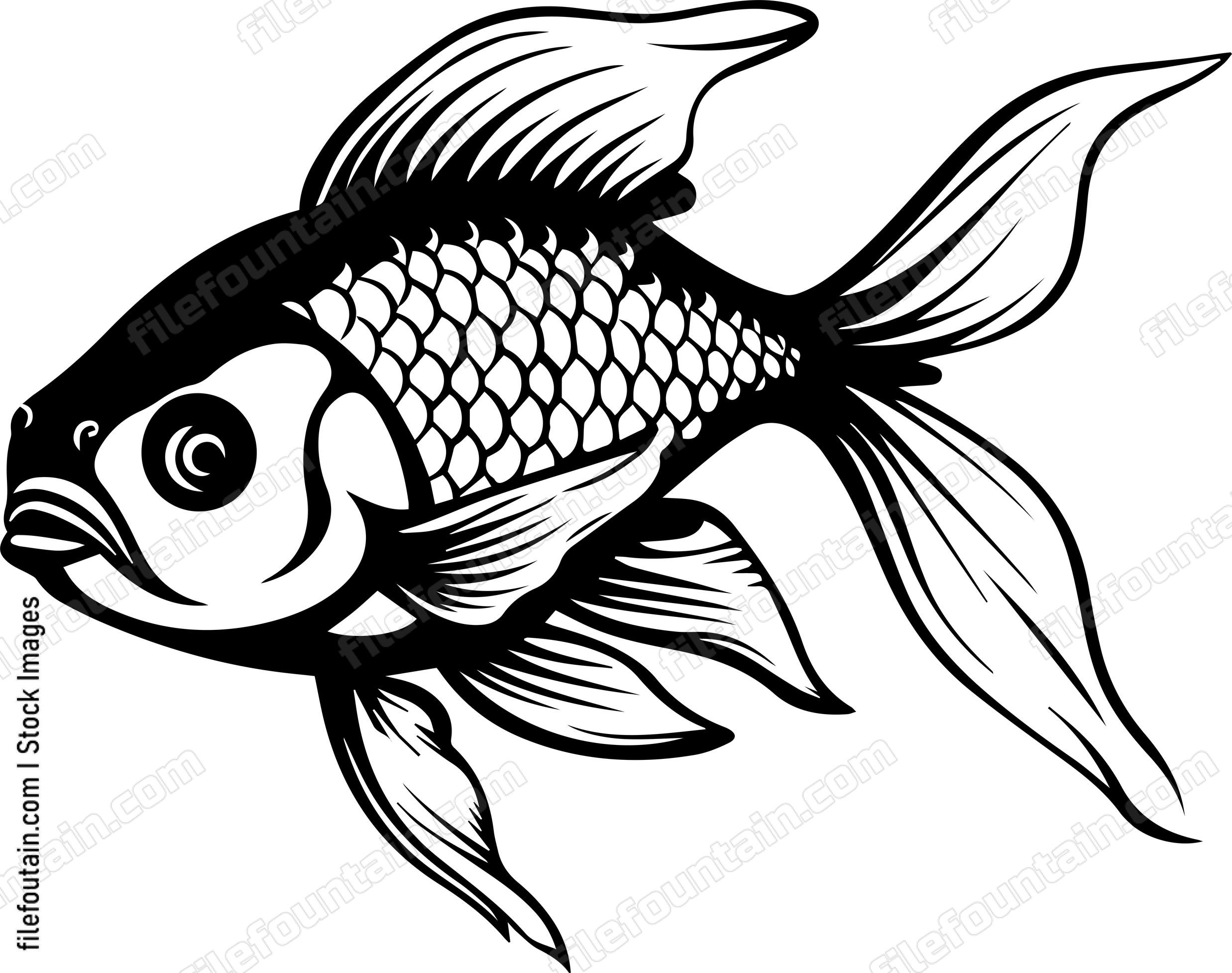 Aquarium Fish