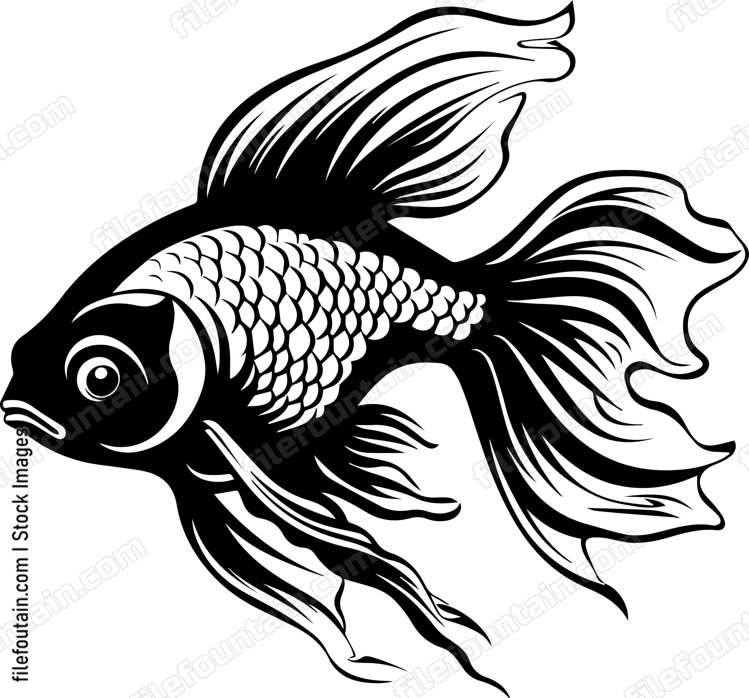 Aquarium Fish