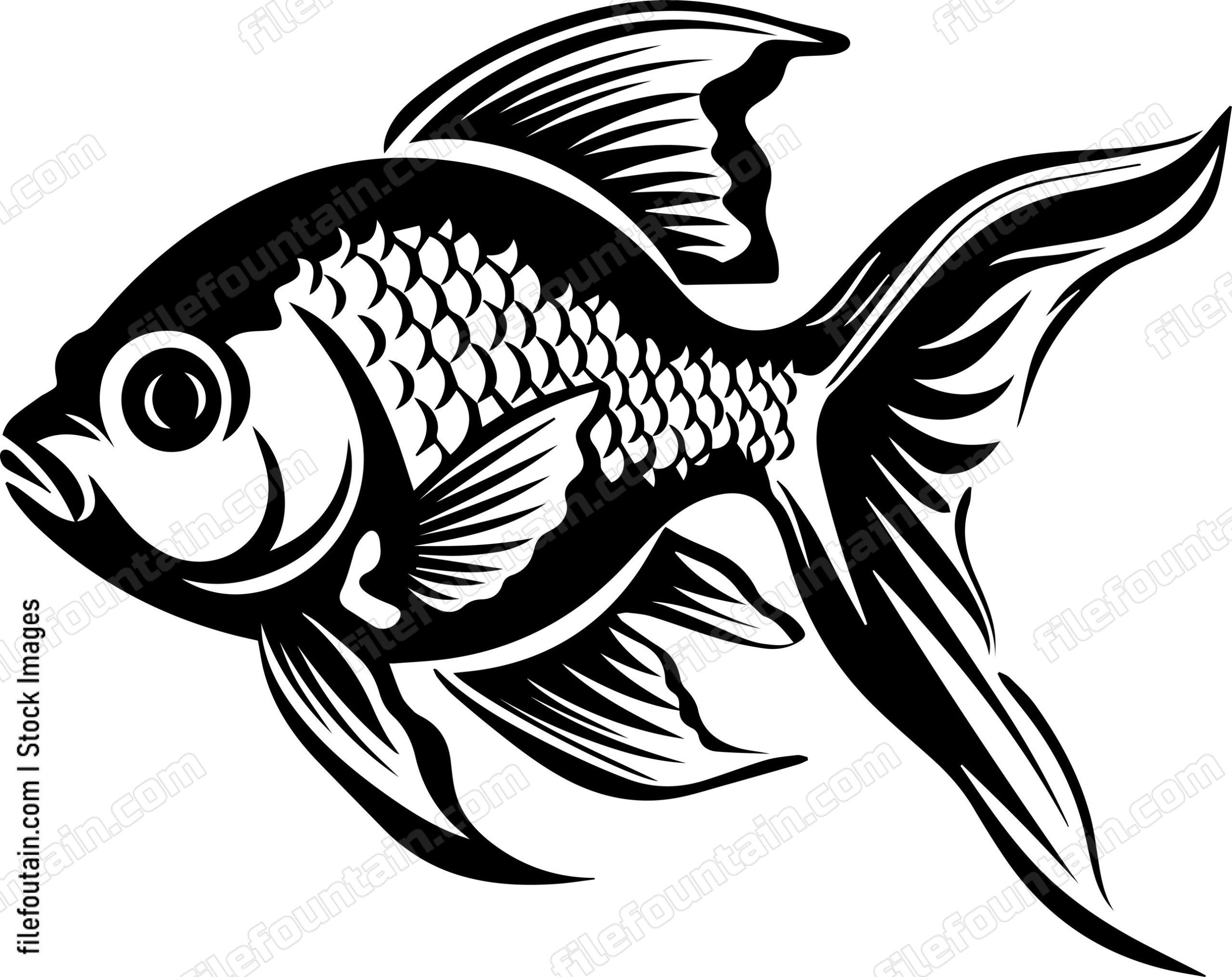 Aquarium Fish
