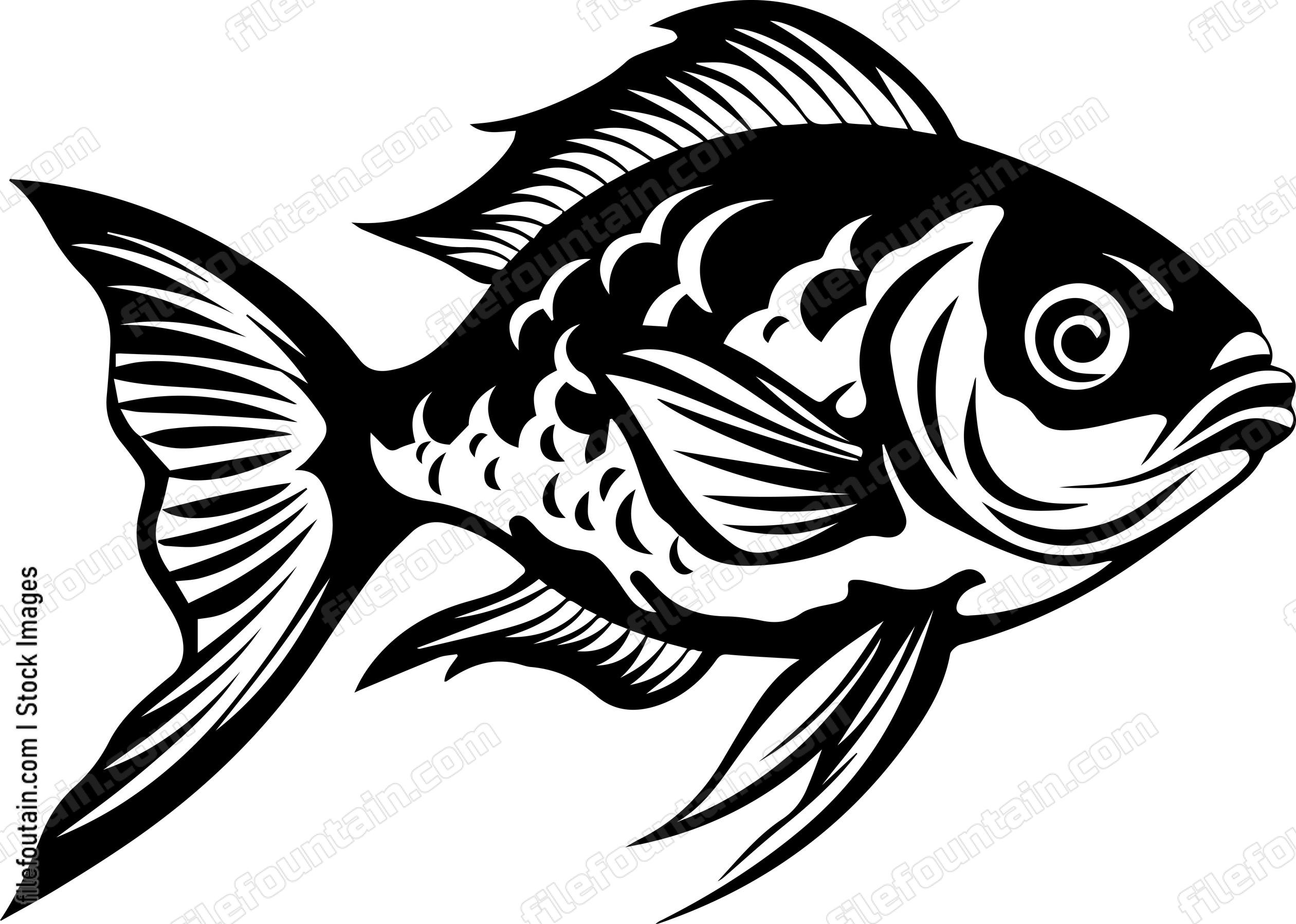 Aquarium Fish