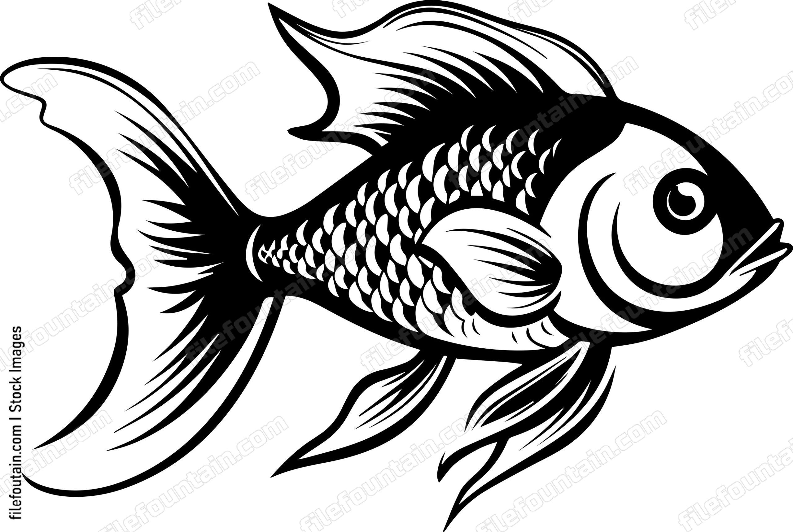Aquarium Fish