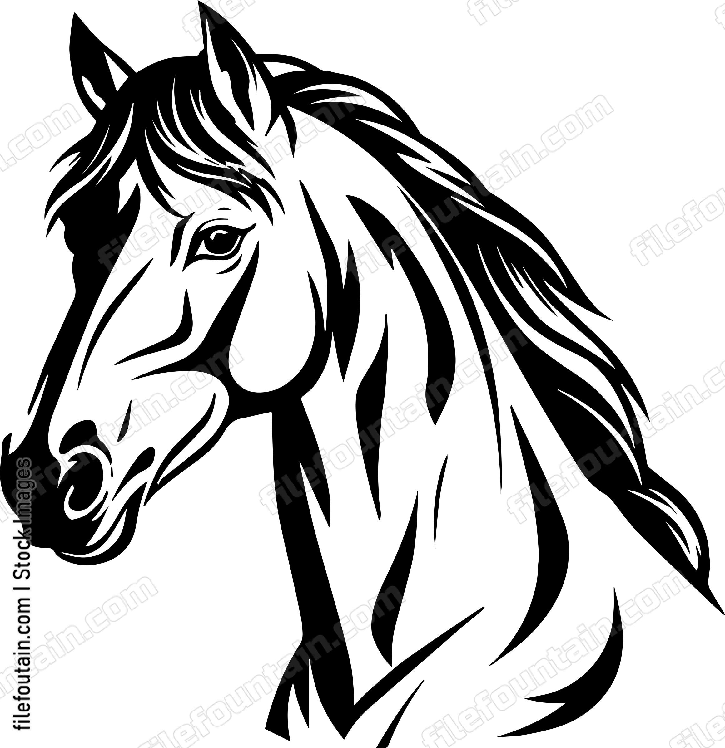 Arabian Horse