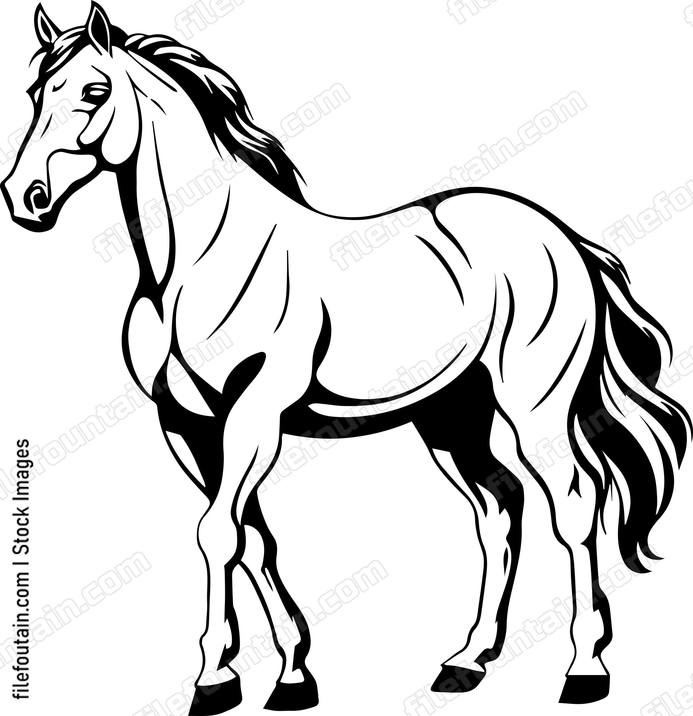 Arabian Horse