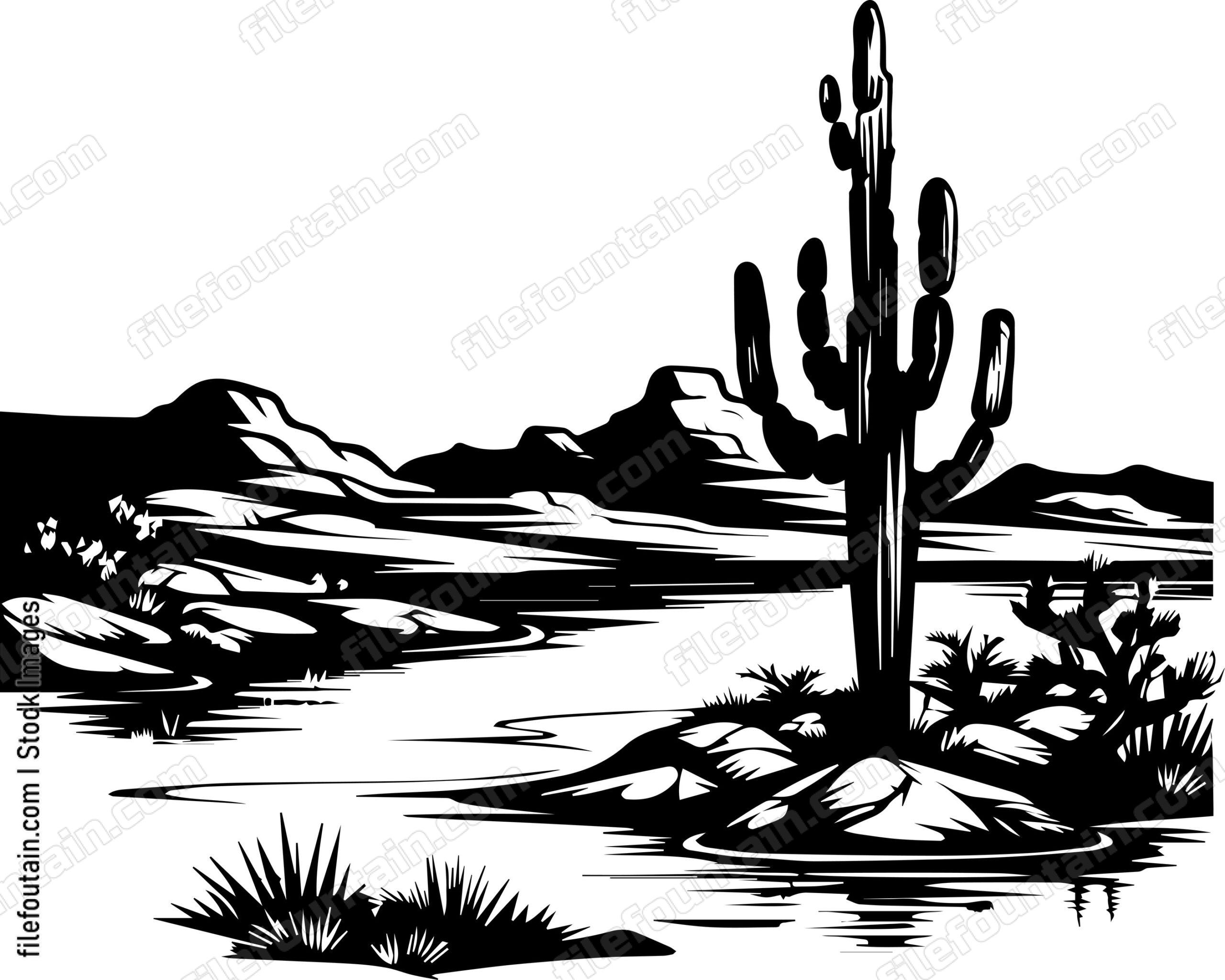 Arizona Landscape