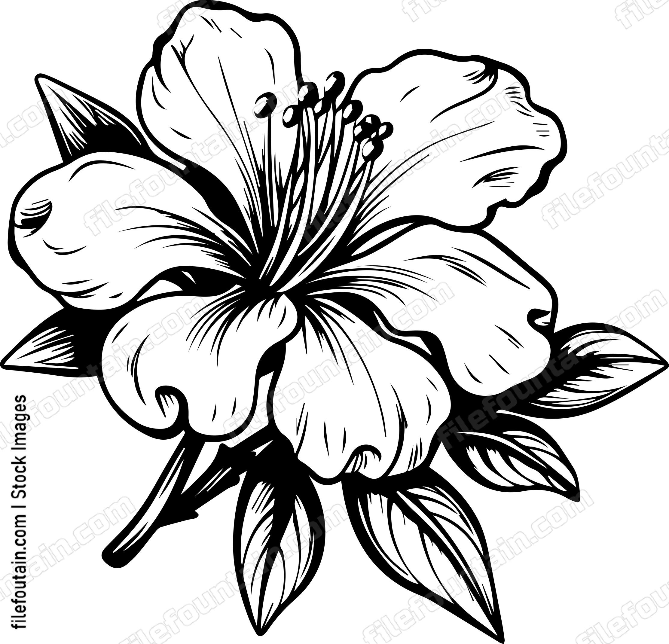 Azalea