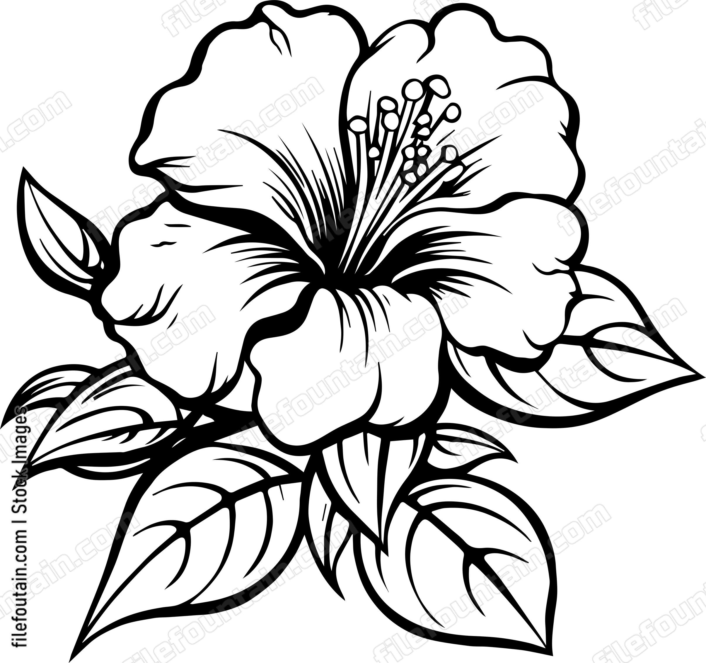 Azalea Flower