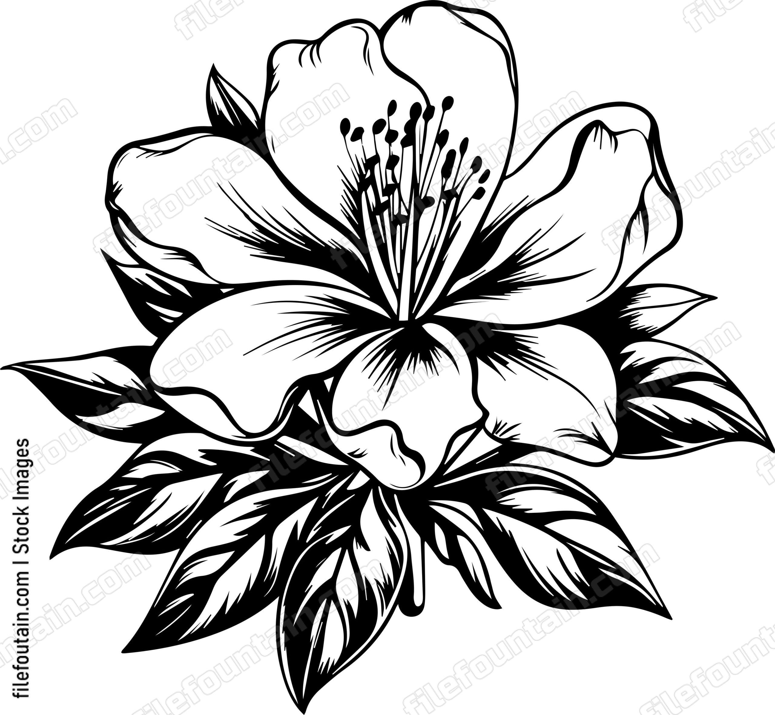 Azalea