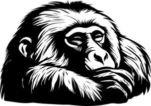 Baboon Sleeping